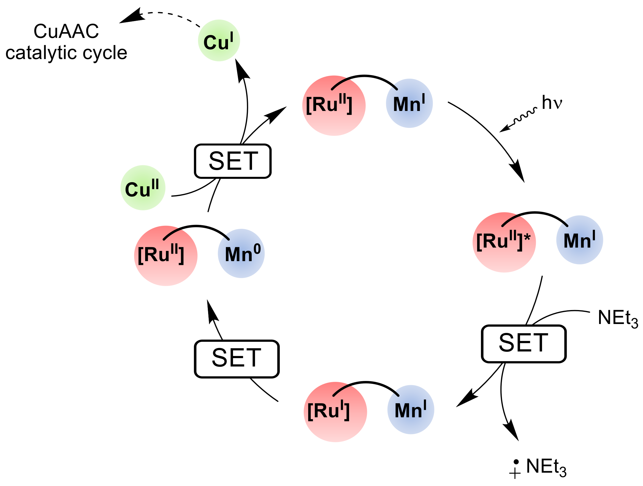 Catalysts 13 00768 sch021