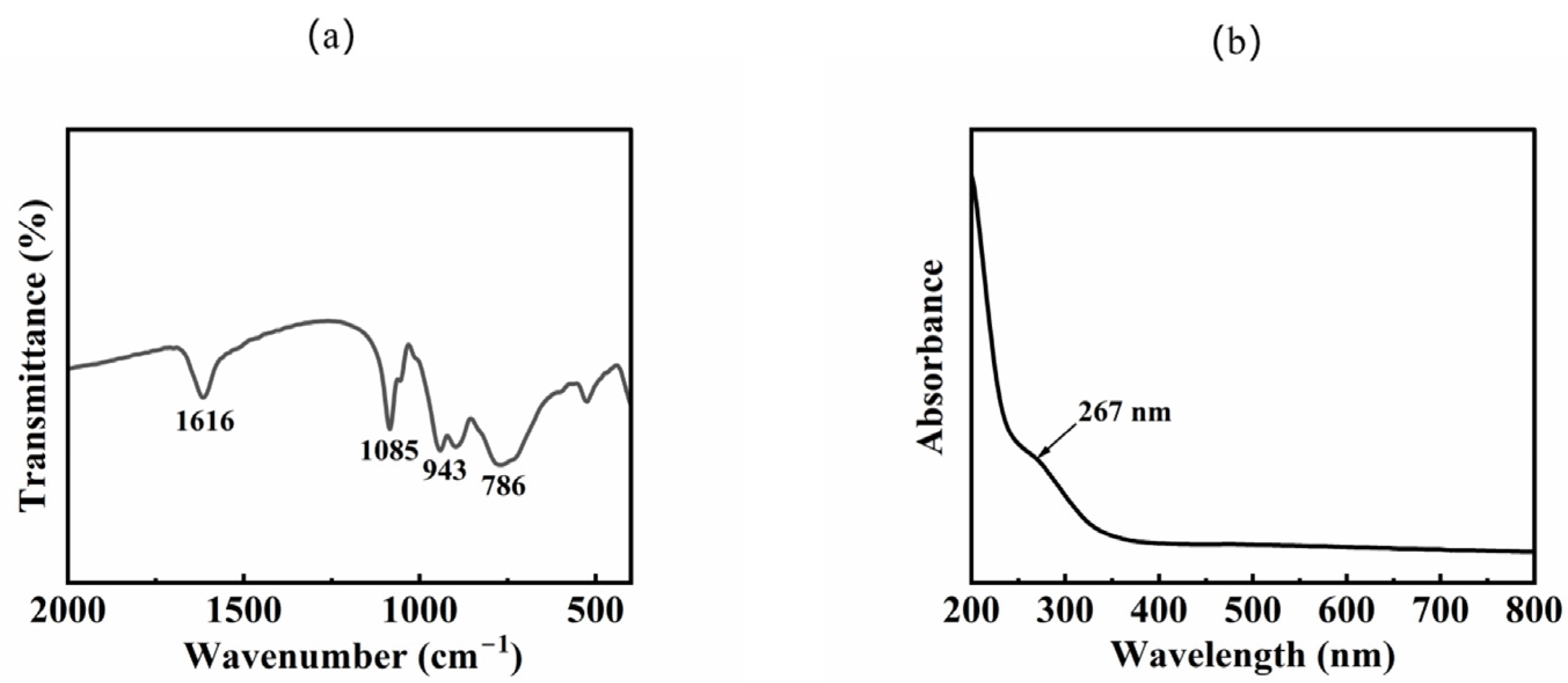 Catalysts 13 00769 g001 550