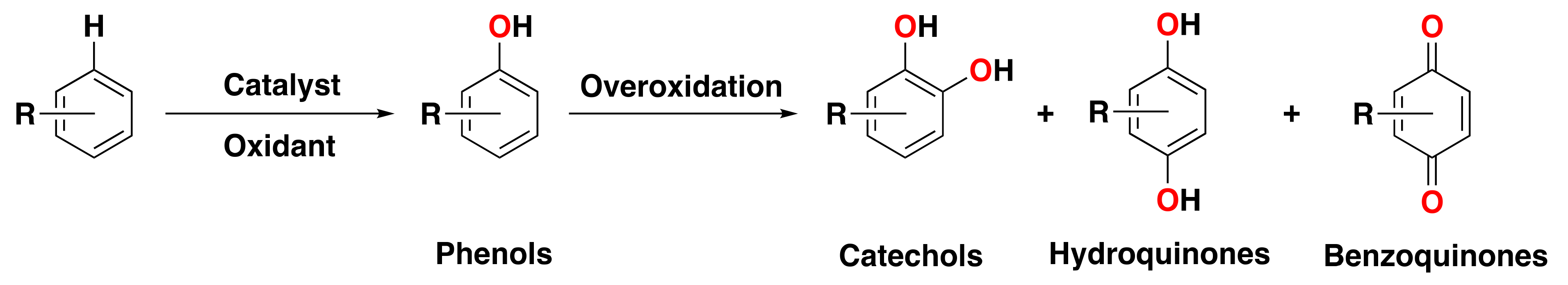 Catalysts 13 00773 g001