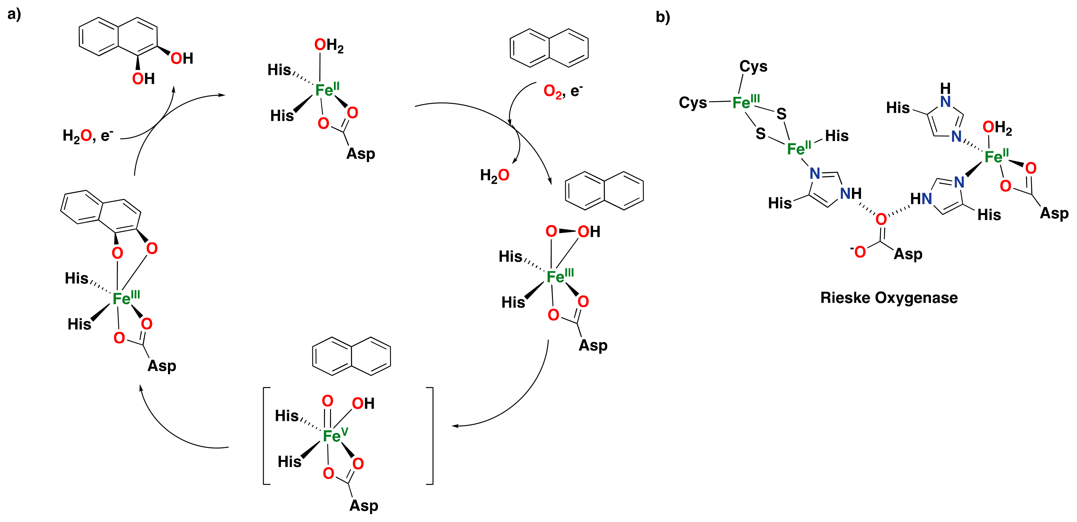 Catalysts 13 00773 g005
