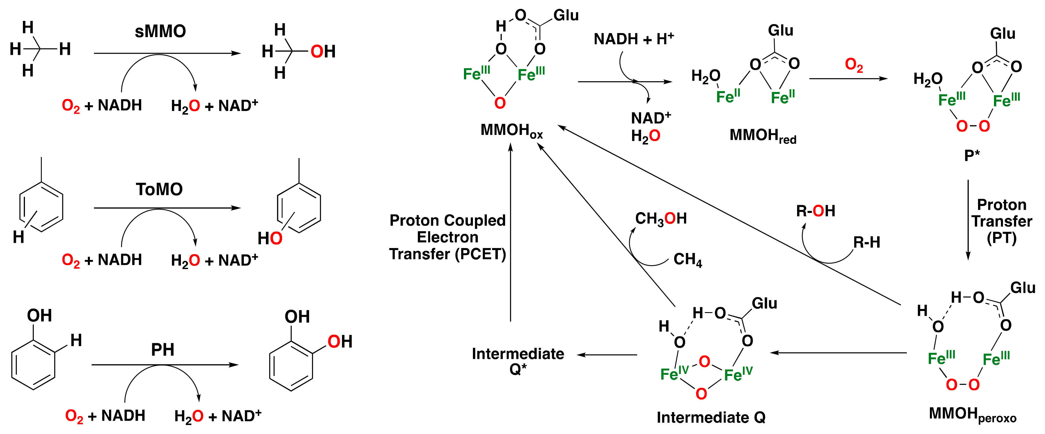 Catalysts 13 00773 g006