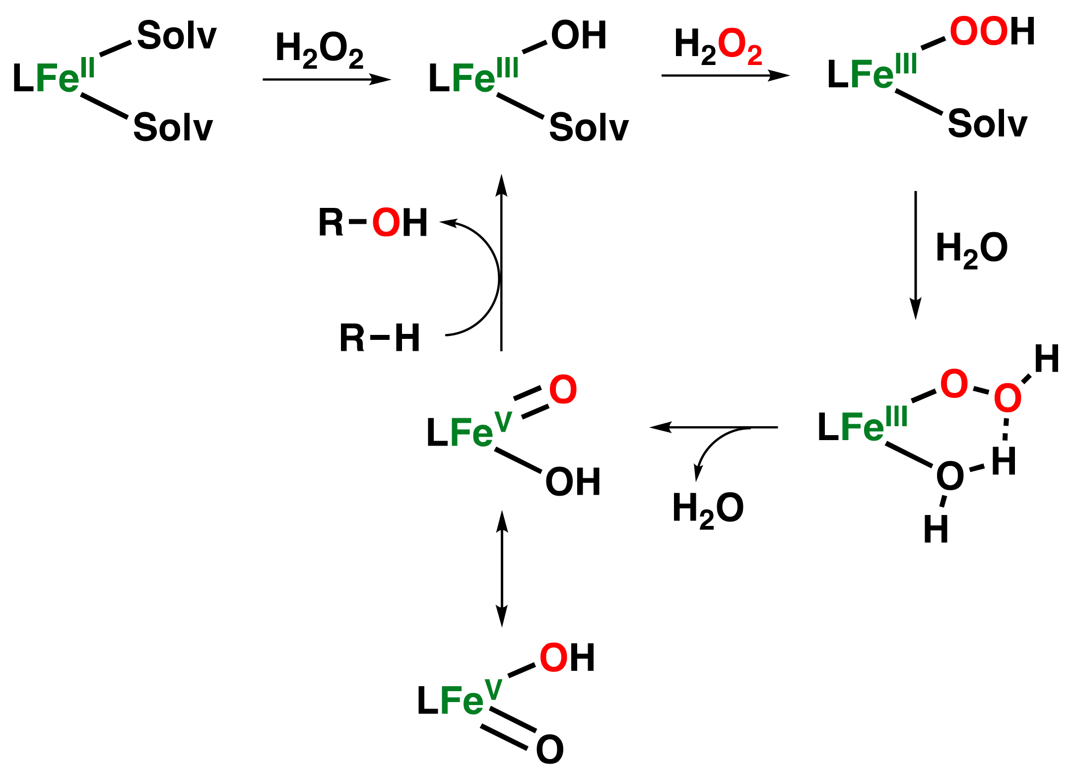 Catalysts 13 00773 g011