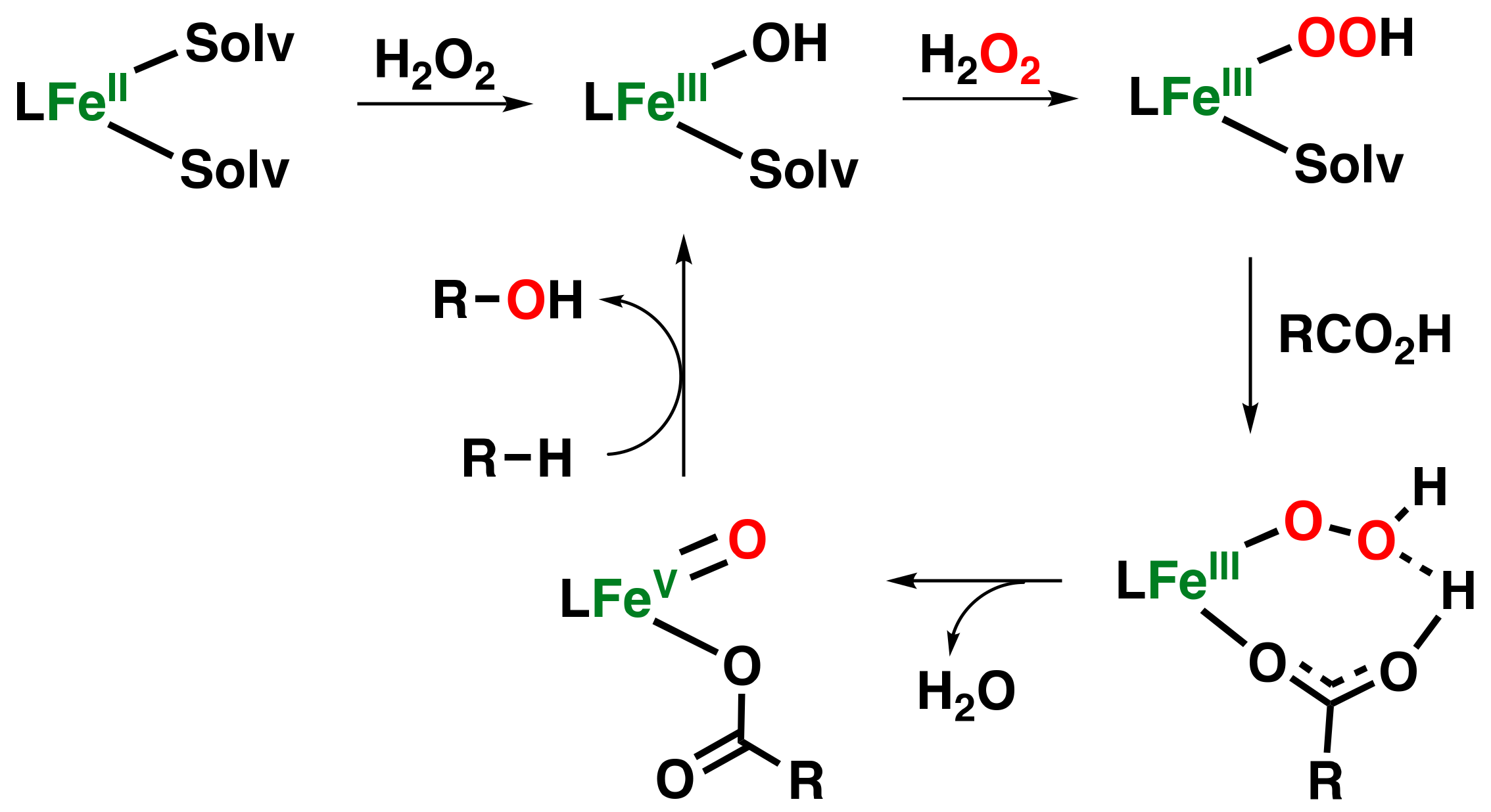 Catalysts 13 00773 g012