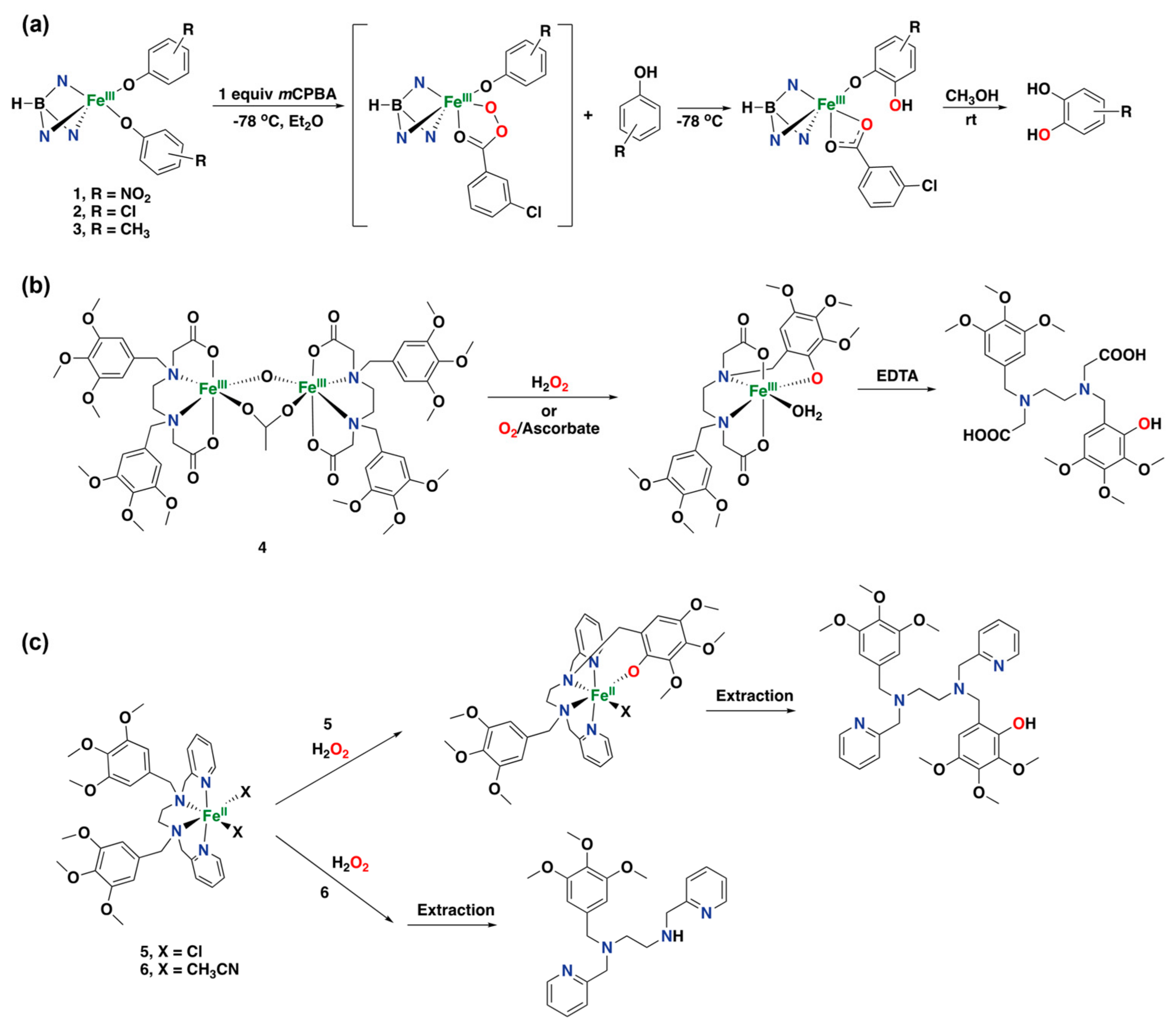 Catalysts 13 00773 g013
