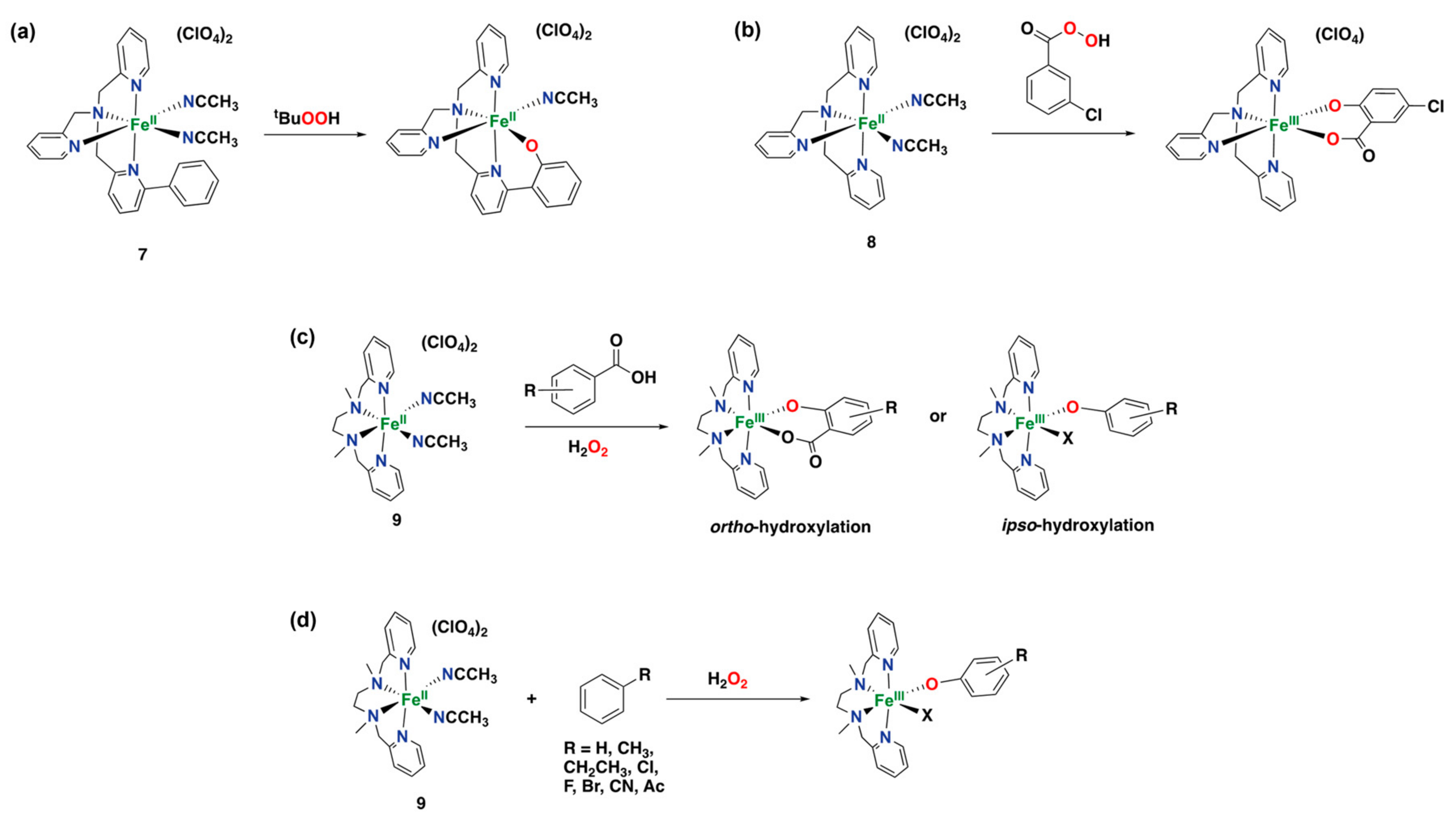 Catalysts 13 00773 g014