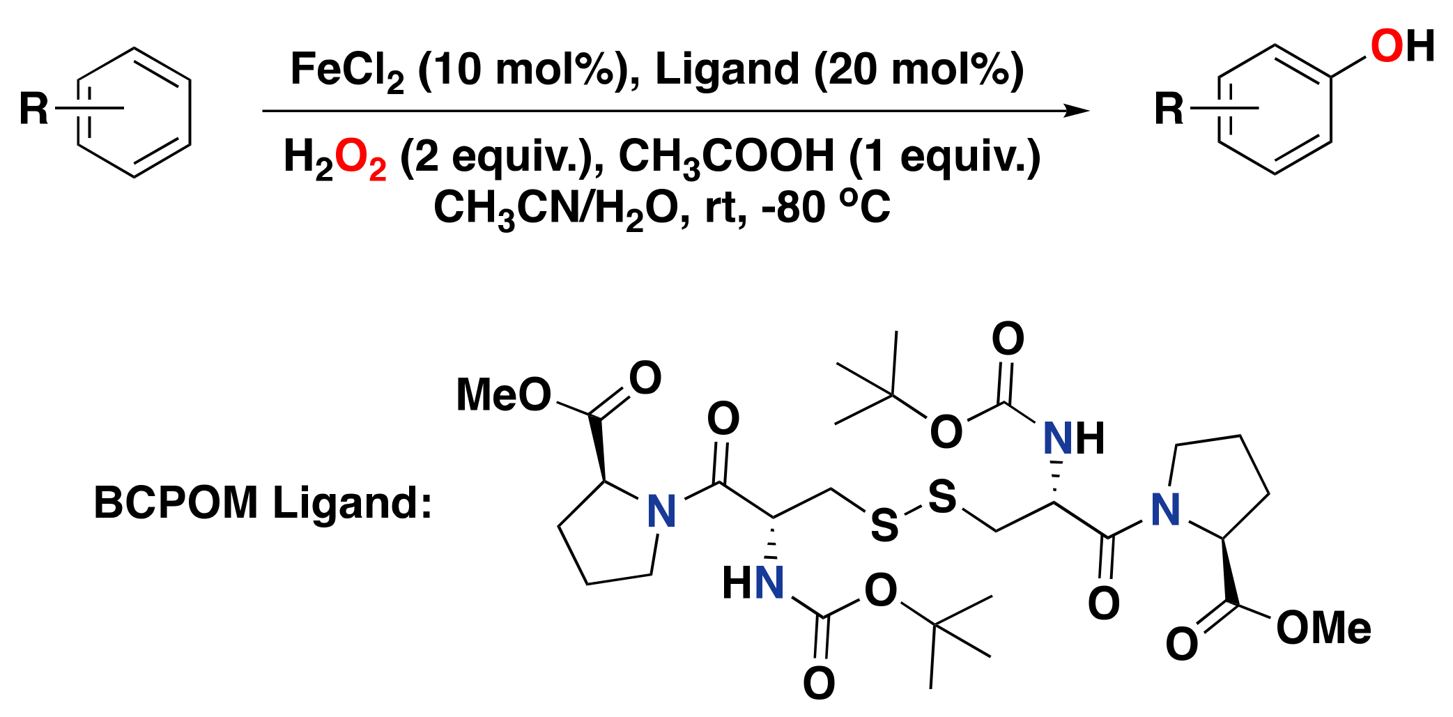 Catalysts 13 00773 g024