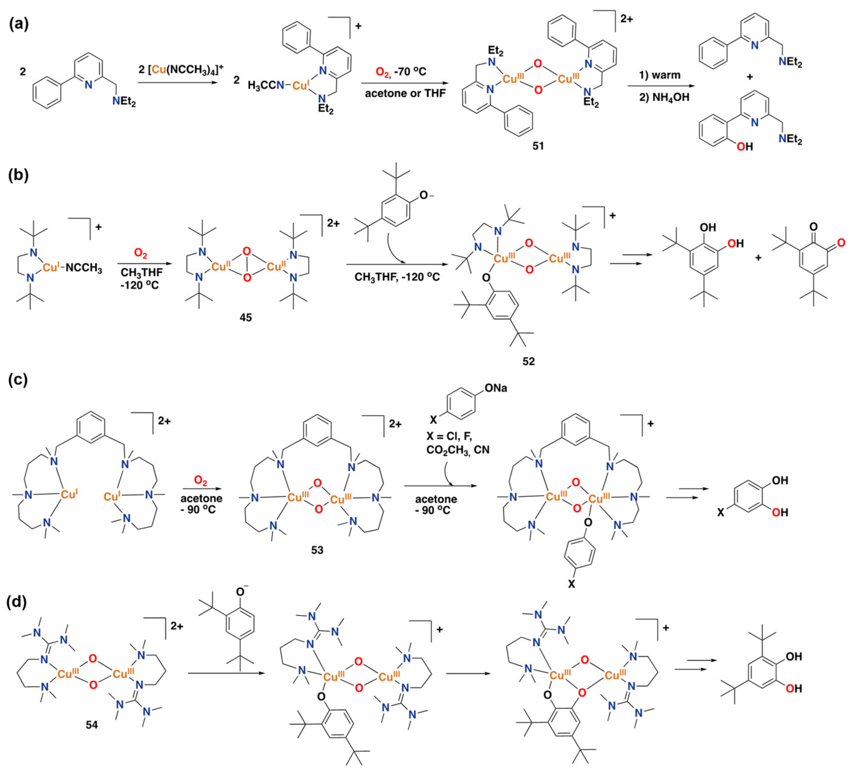 Catalysts 13 00773 g028