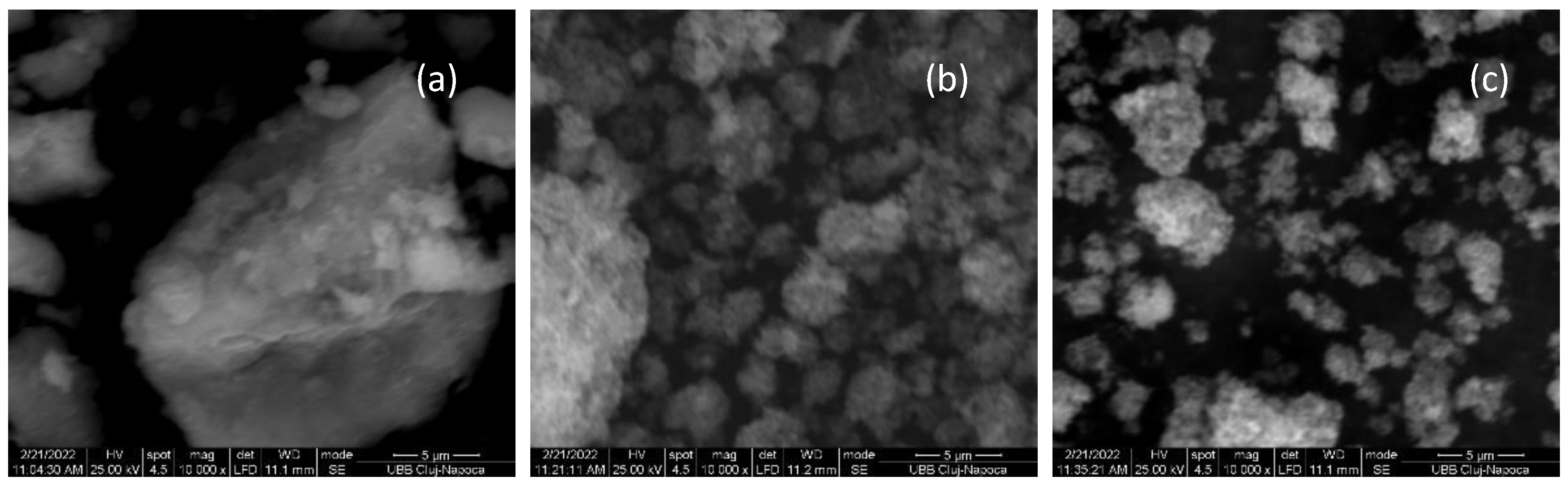 Catalysts 13 00782 g001 Catalysts 13 00782 g001