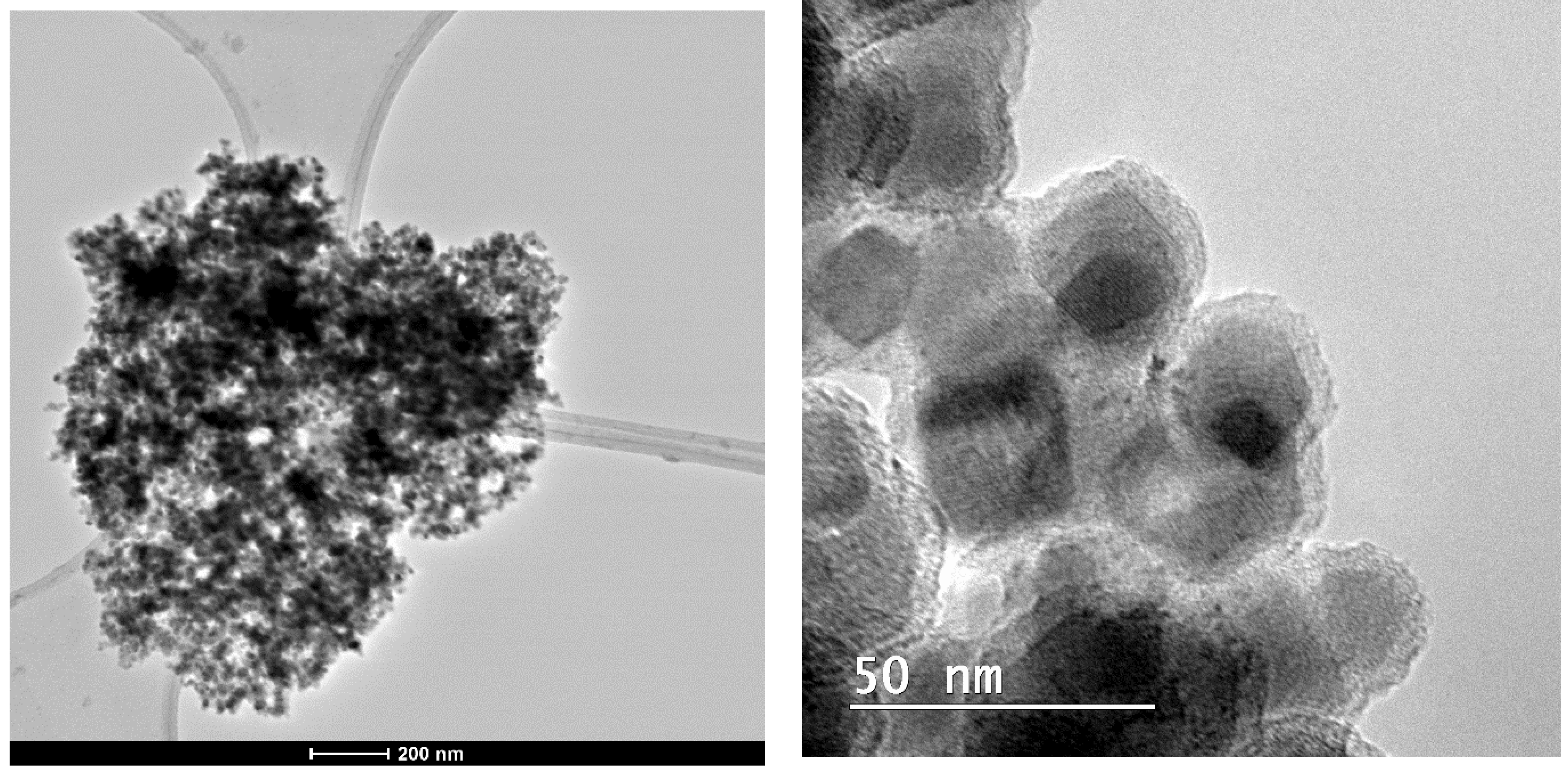 Catalysts 13 00782 g004 Catalysts 13 00782 g004