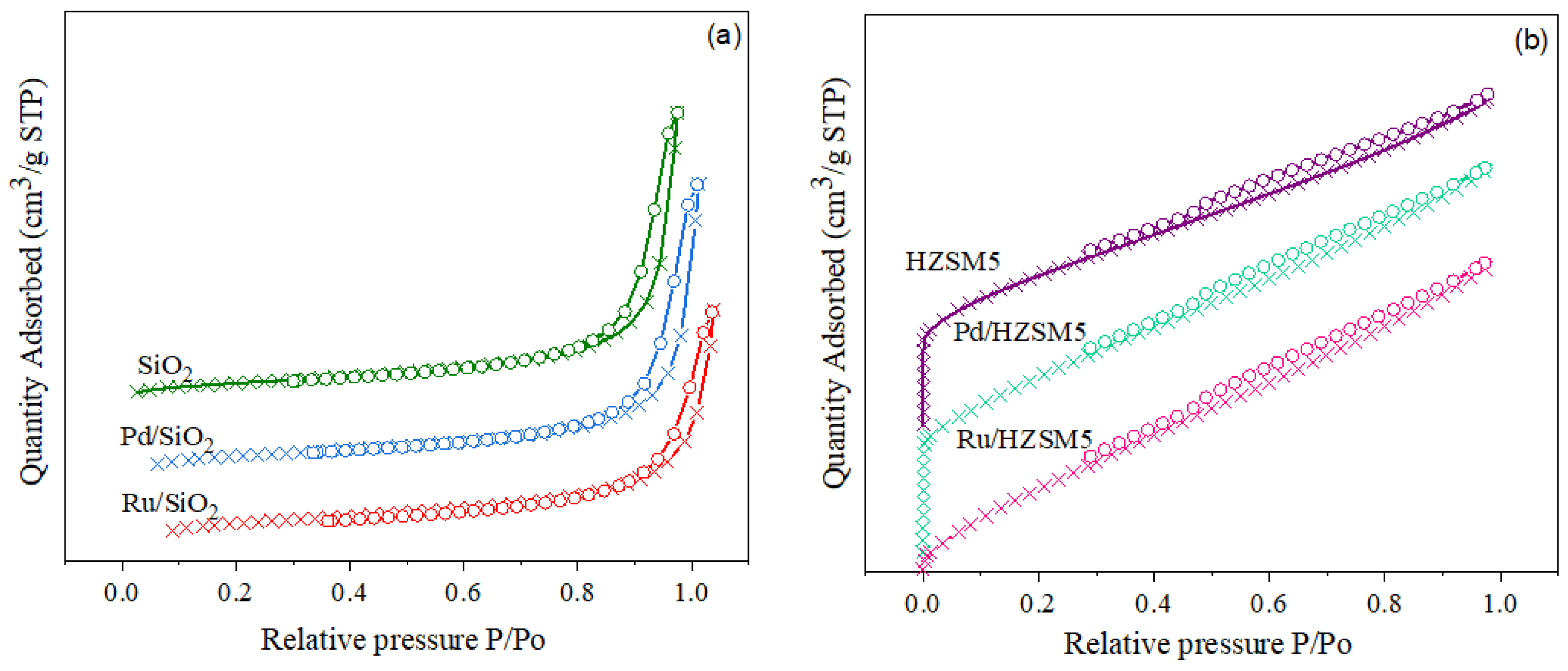 Catalysts 13 00783 g001