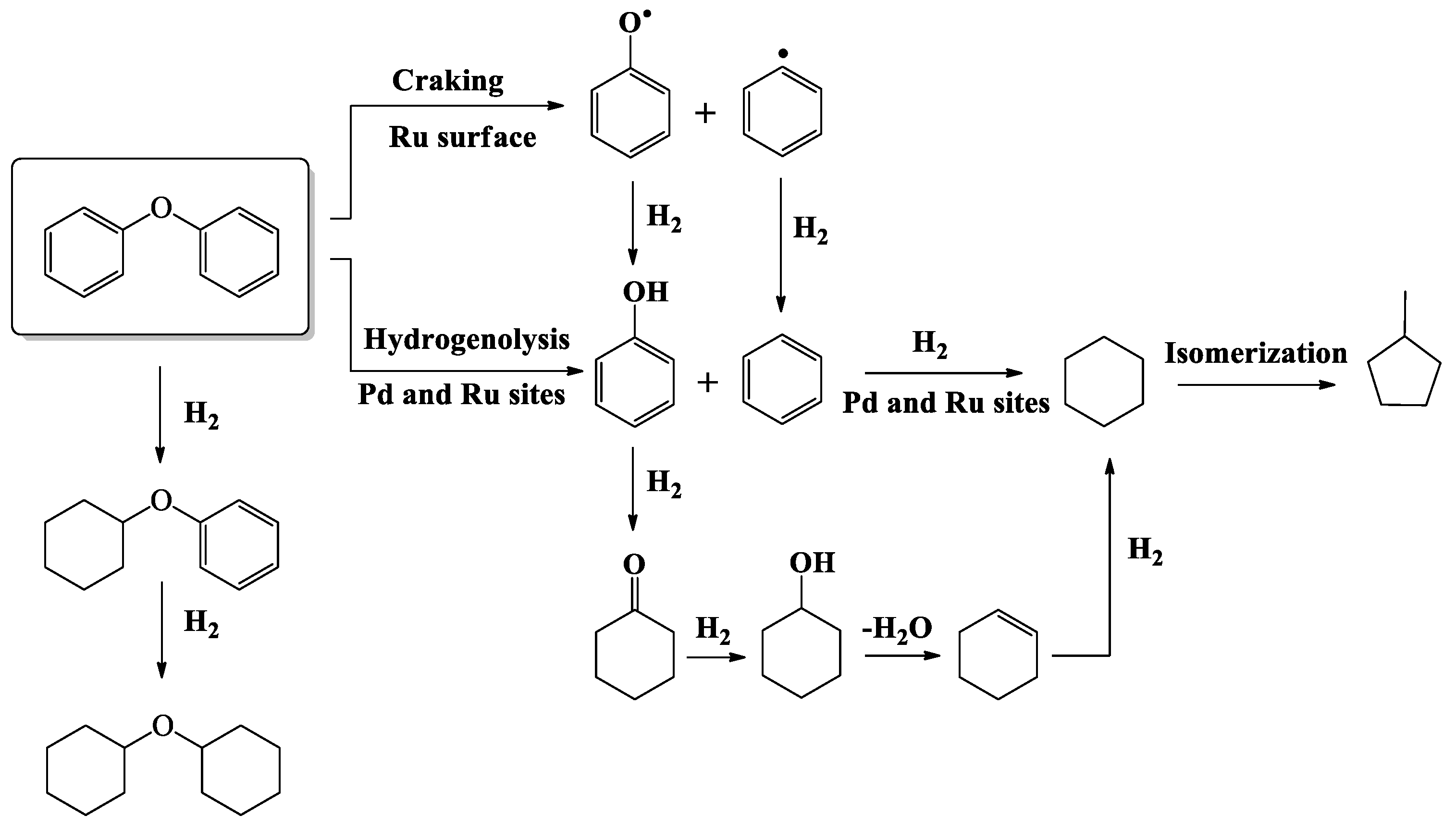 Catalysts 13 00783 sch003