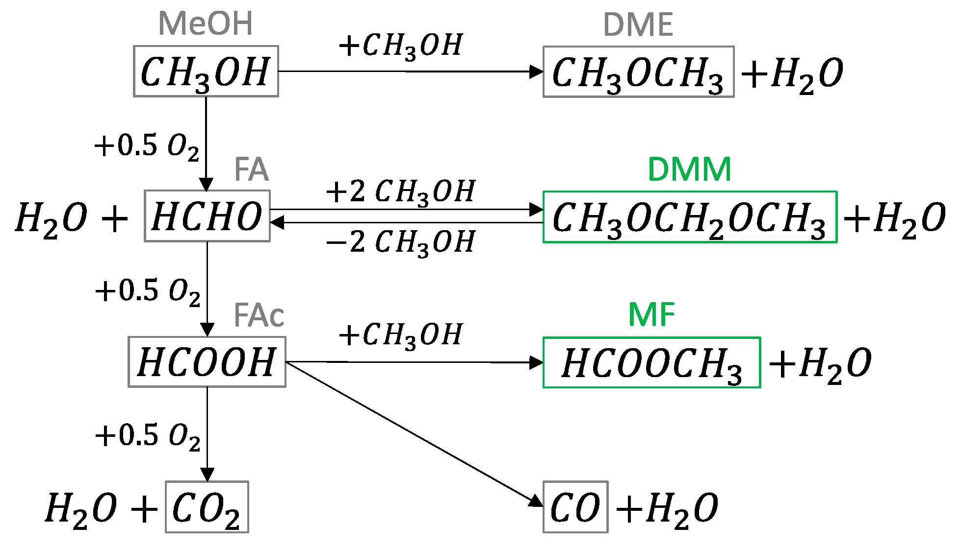 Catalysts 13 00787 g001