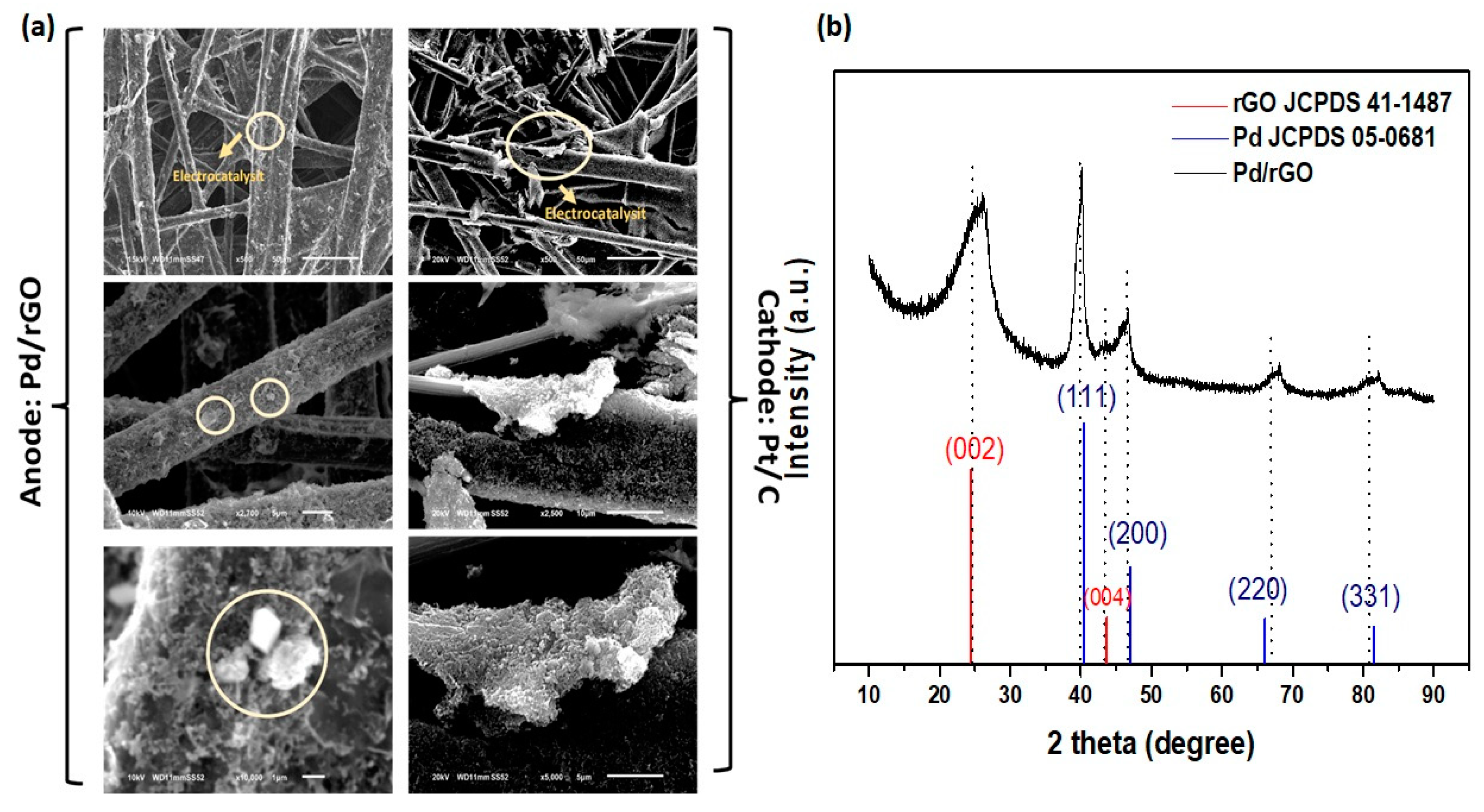 Catalysts 13 00788 g001 Catalysts 13 00788 g001