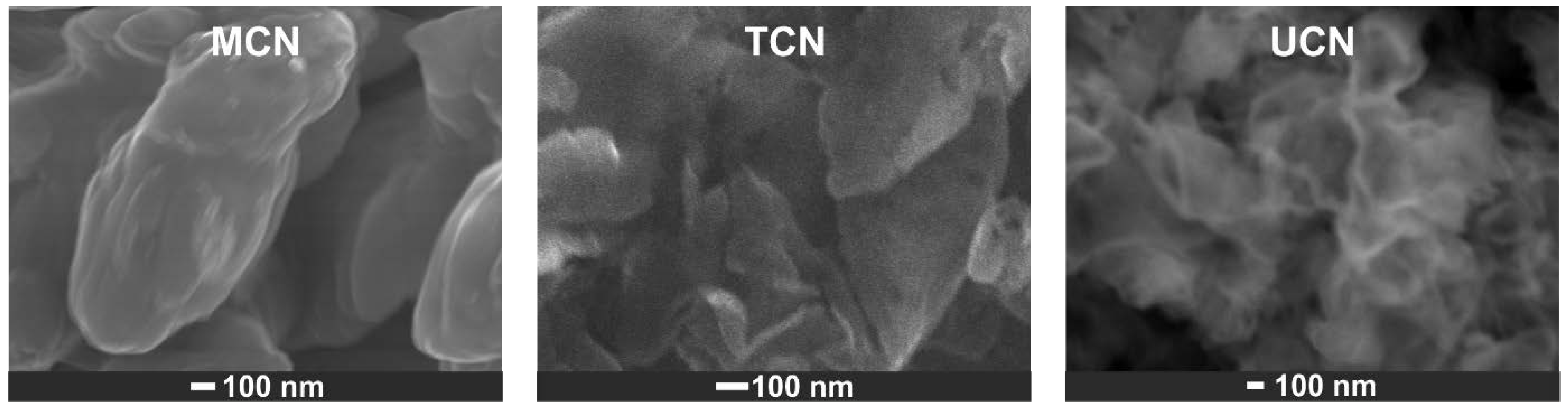 Catalysts 13 00789 g005