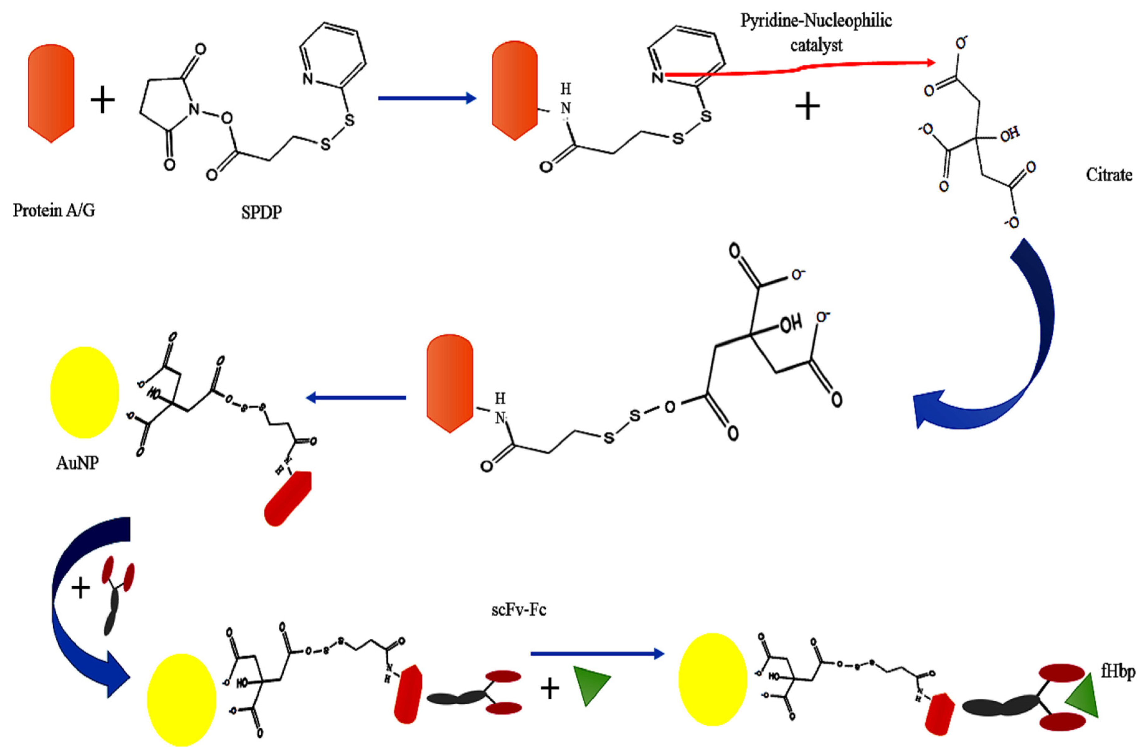 Catalysts 13 00790 g004