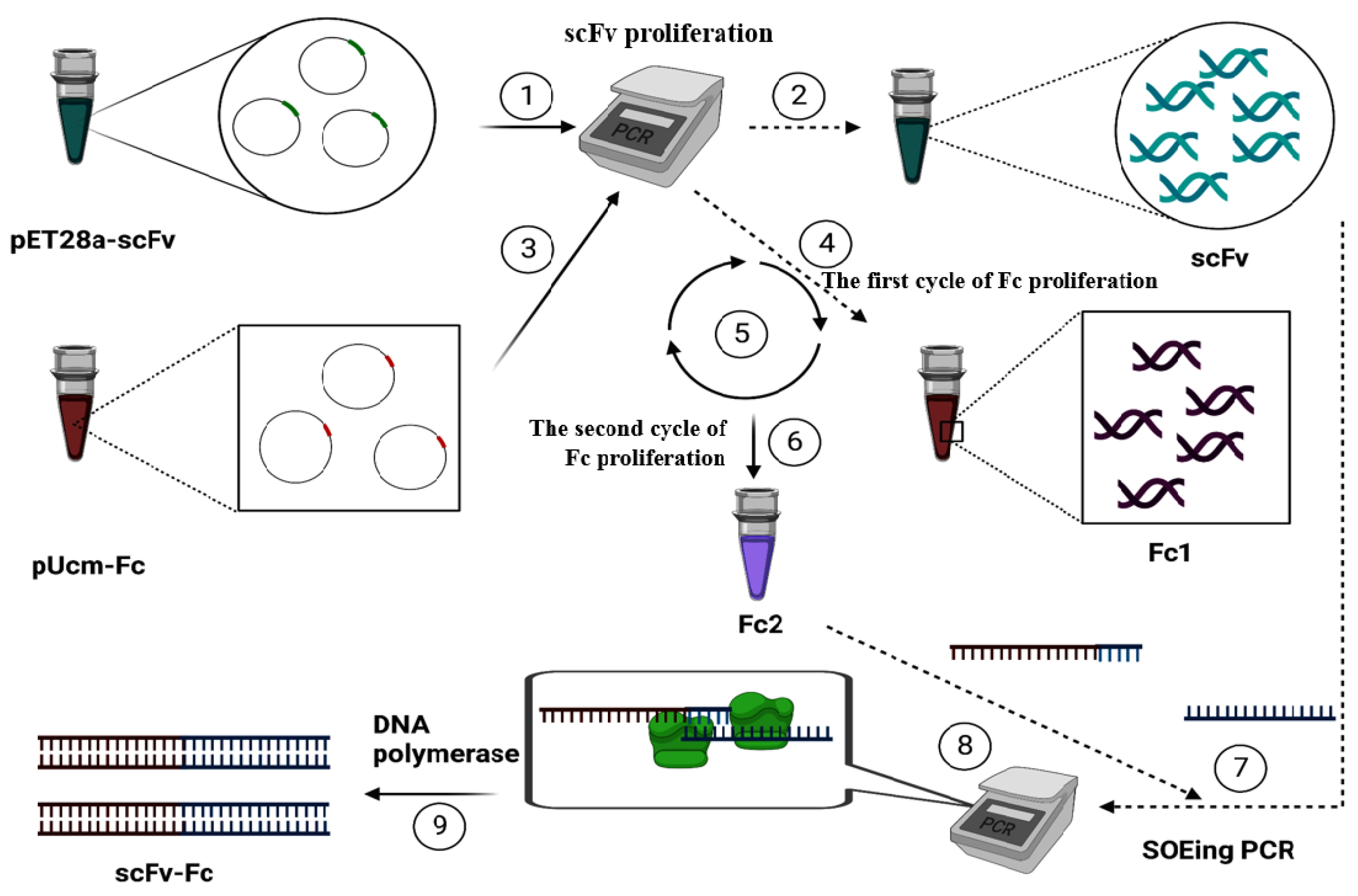 Catalysts 13 00790 g005