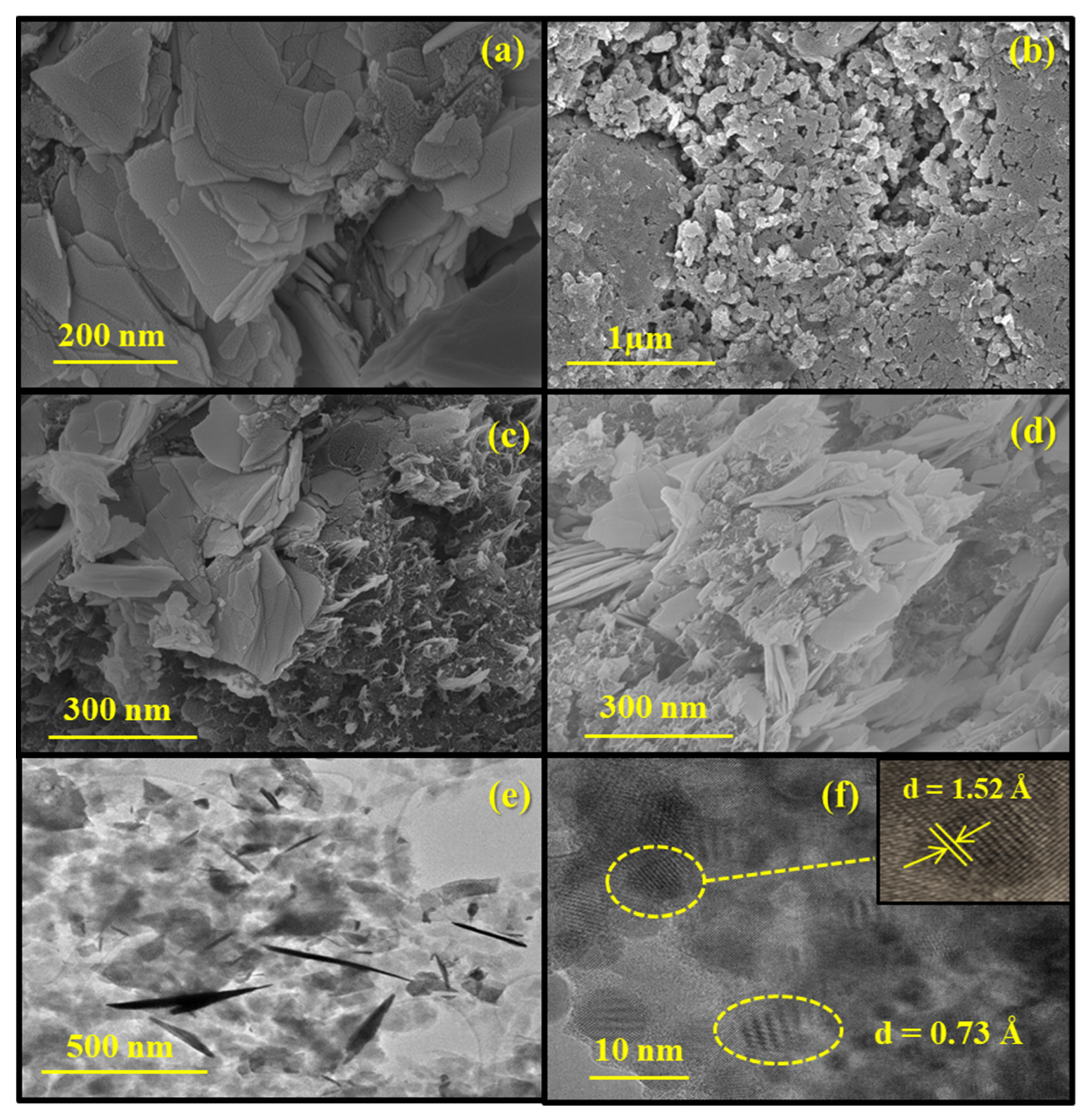 Catalysts 13 00795 g004 Catalysts 13 00795 g004