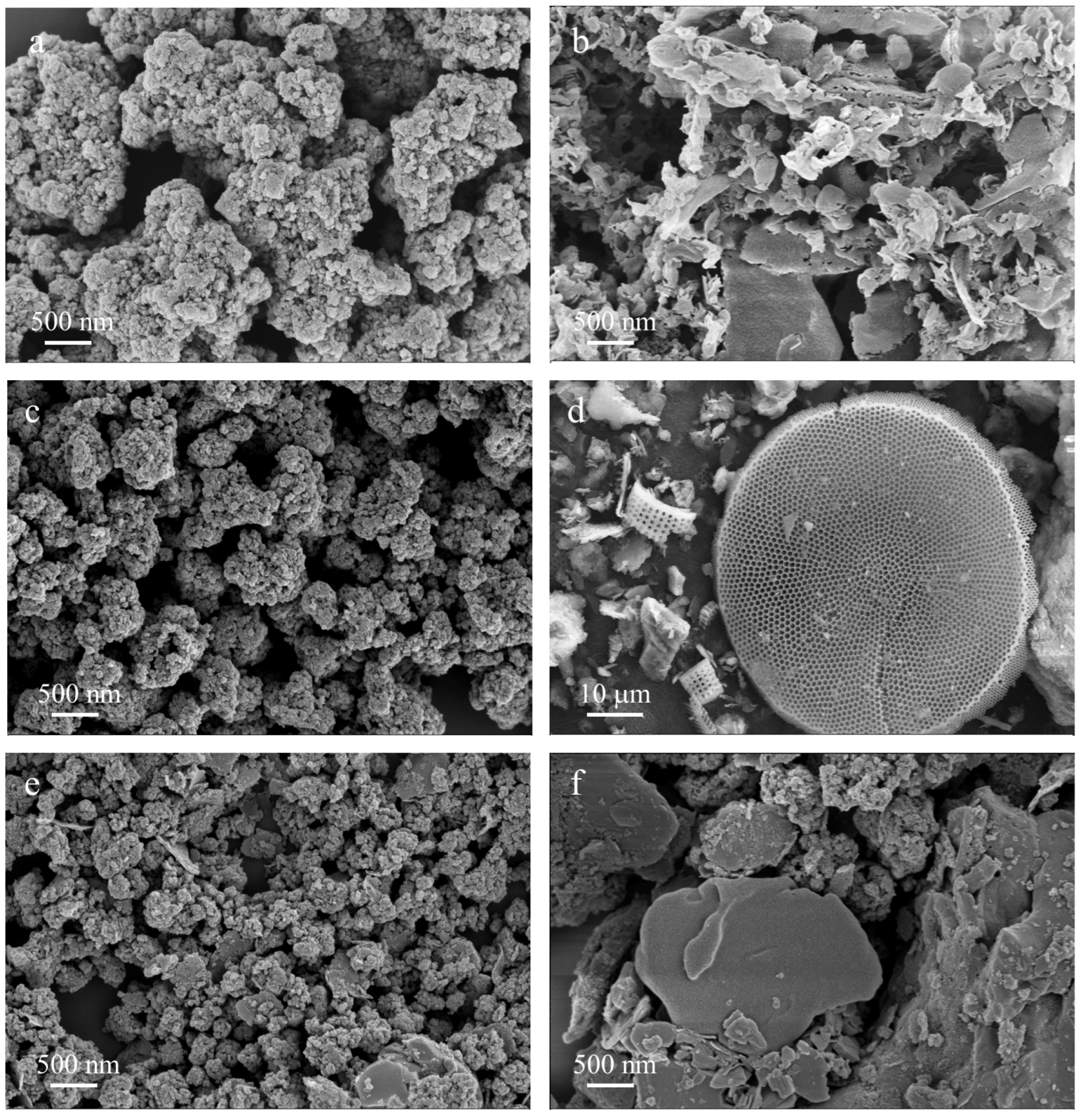 Catalysts 13 00796 g007 Catalysts 13 00796 g007