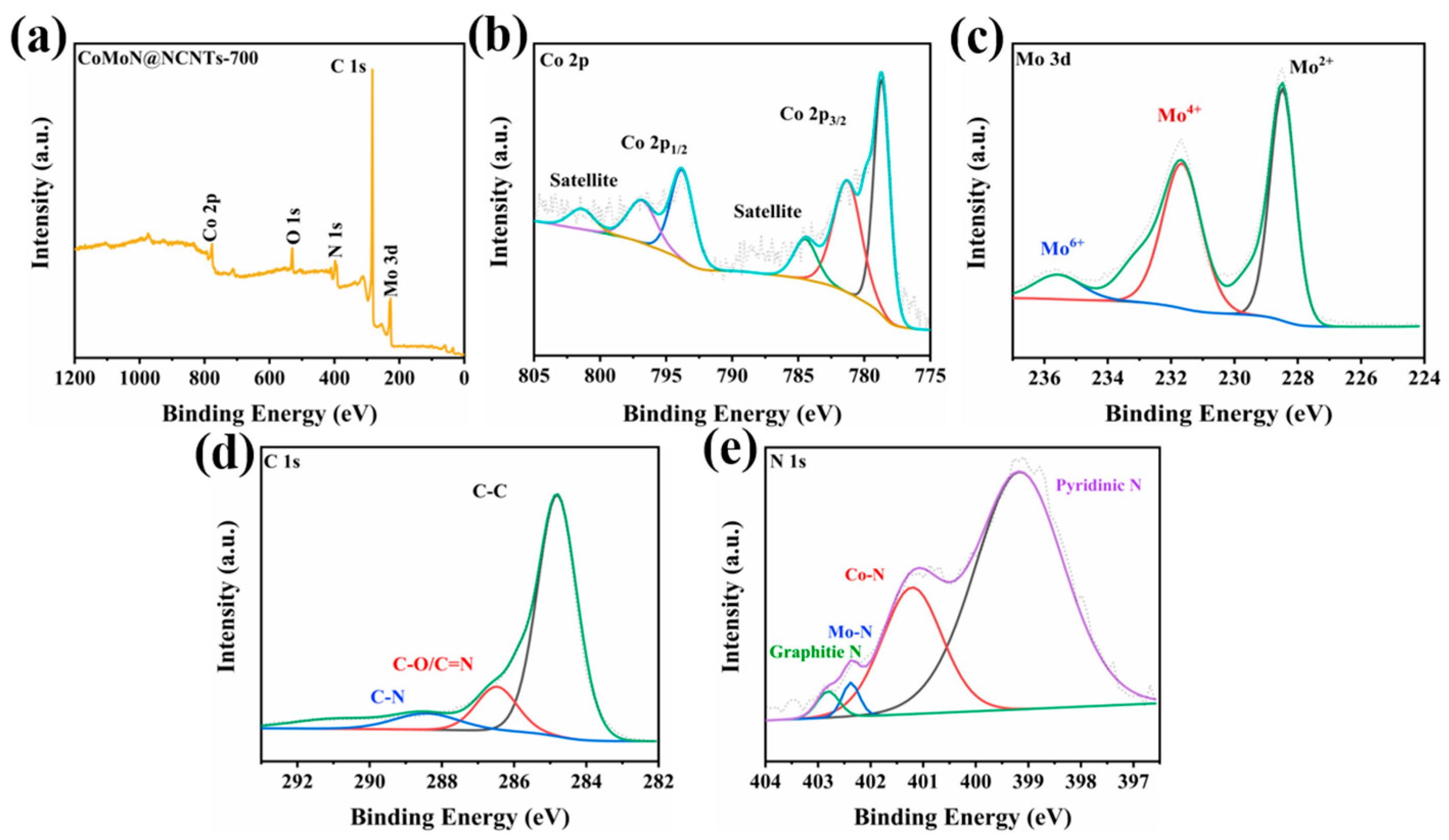 Catalysts 13 00801 g005