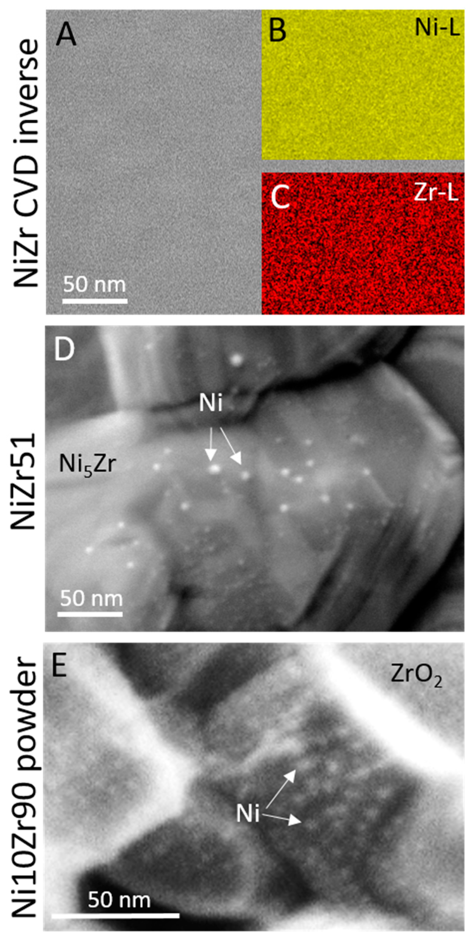 Catalysts 13 00804 g002