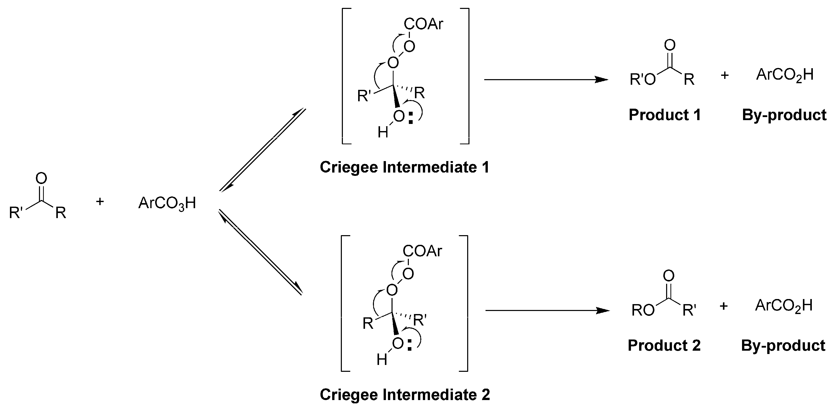 Catalysts 13 00805 g001