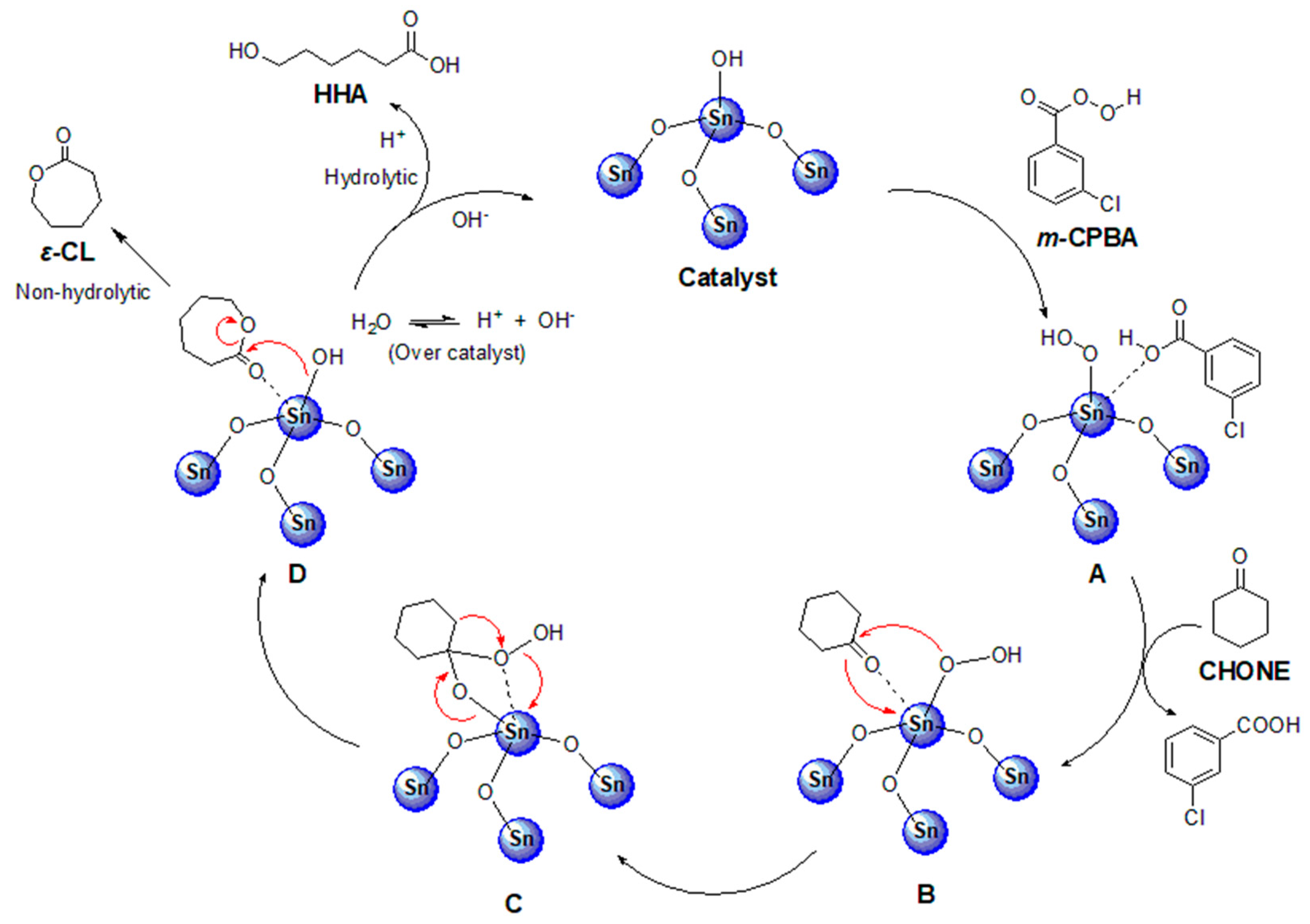 Catalysts 13 00805 g011
