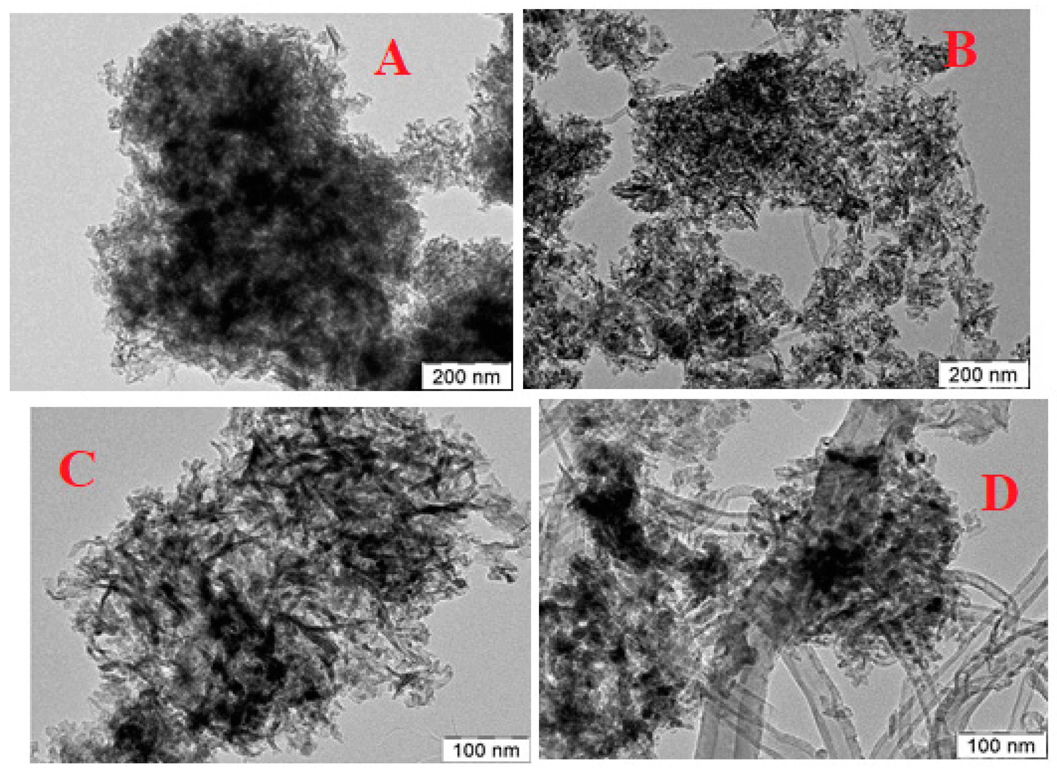 Catalysts 13 00806 g007