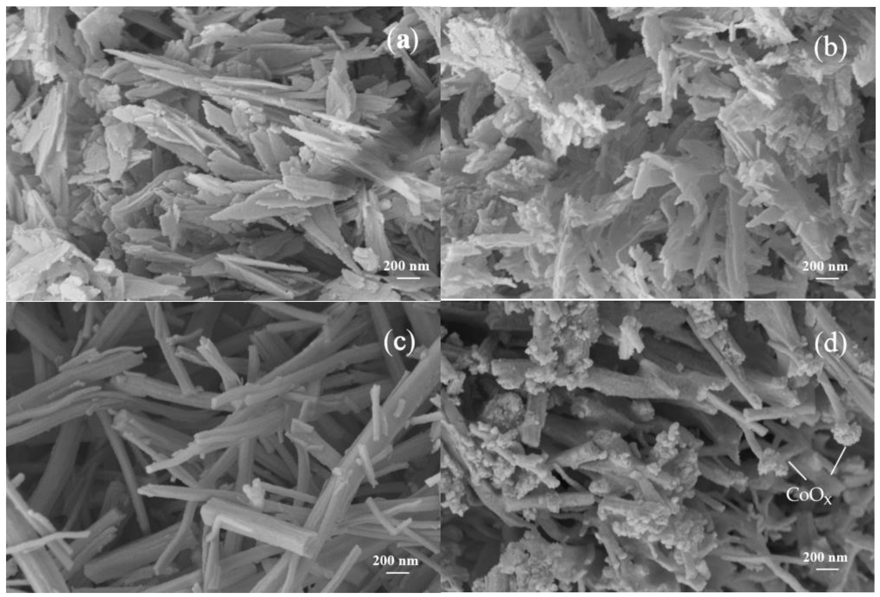 Catalysts 13 00807 g008 Catalysts 13 00807 g008
