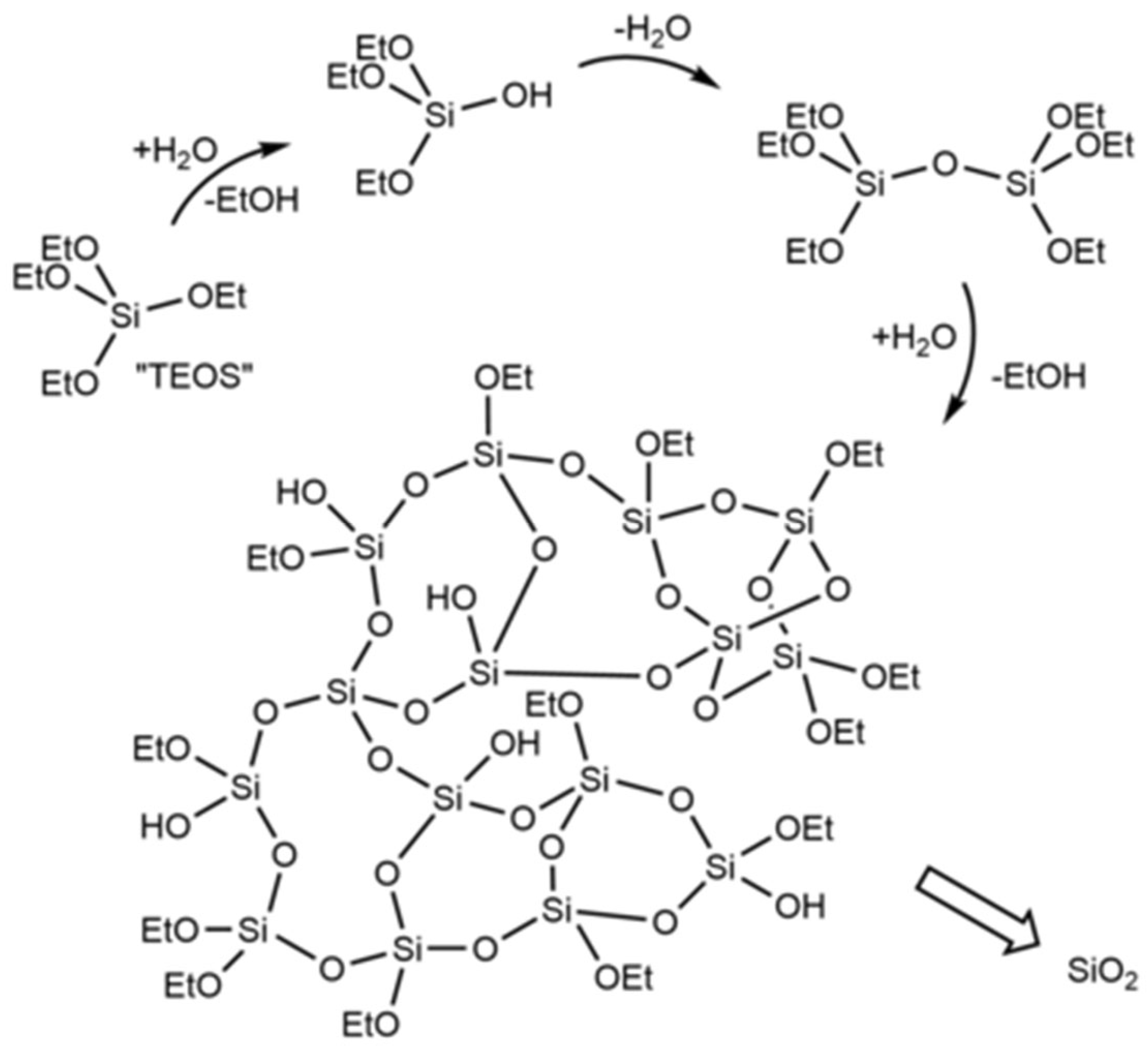 Catalysts 13 00810 g001