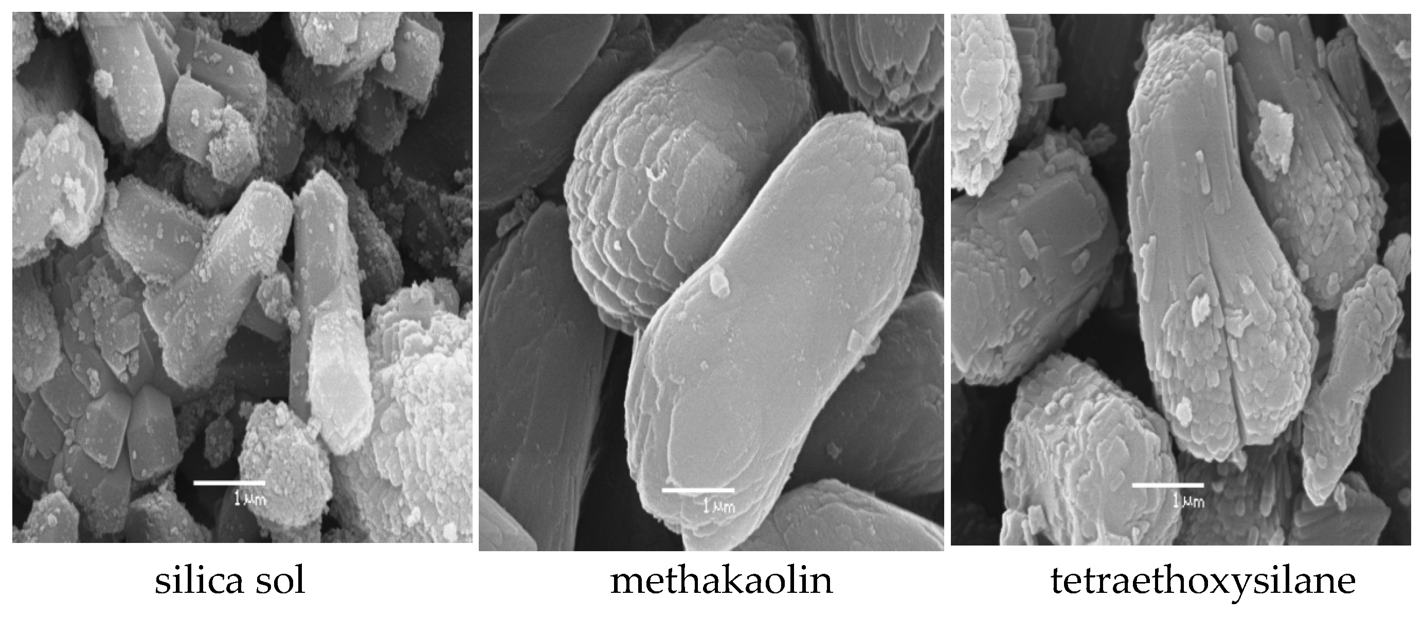 Catalysts 13 00810 g002