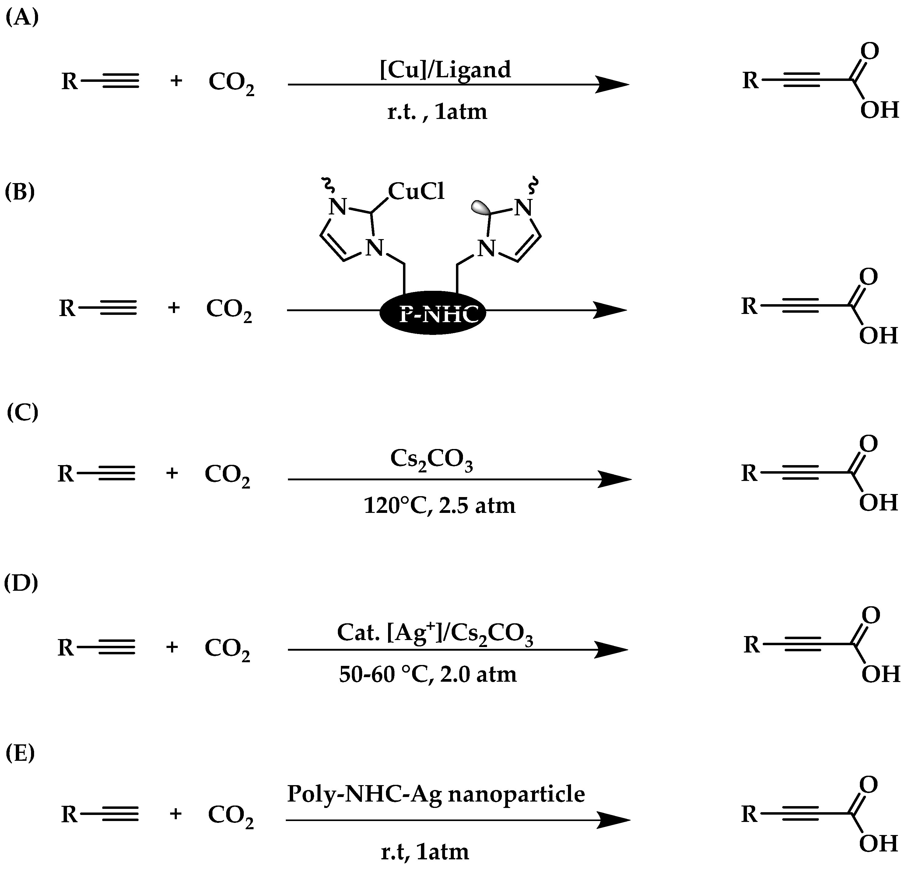 Catalysts 13 00811 g017