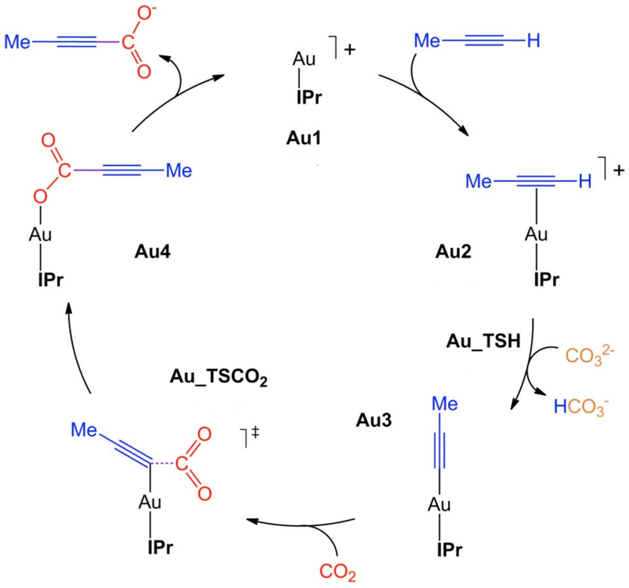 Catalysts 13 00811 sch007