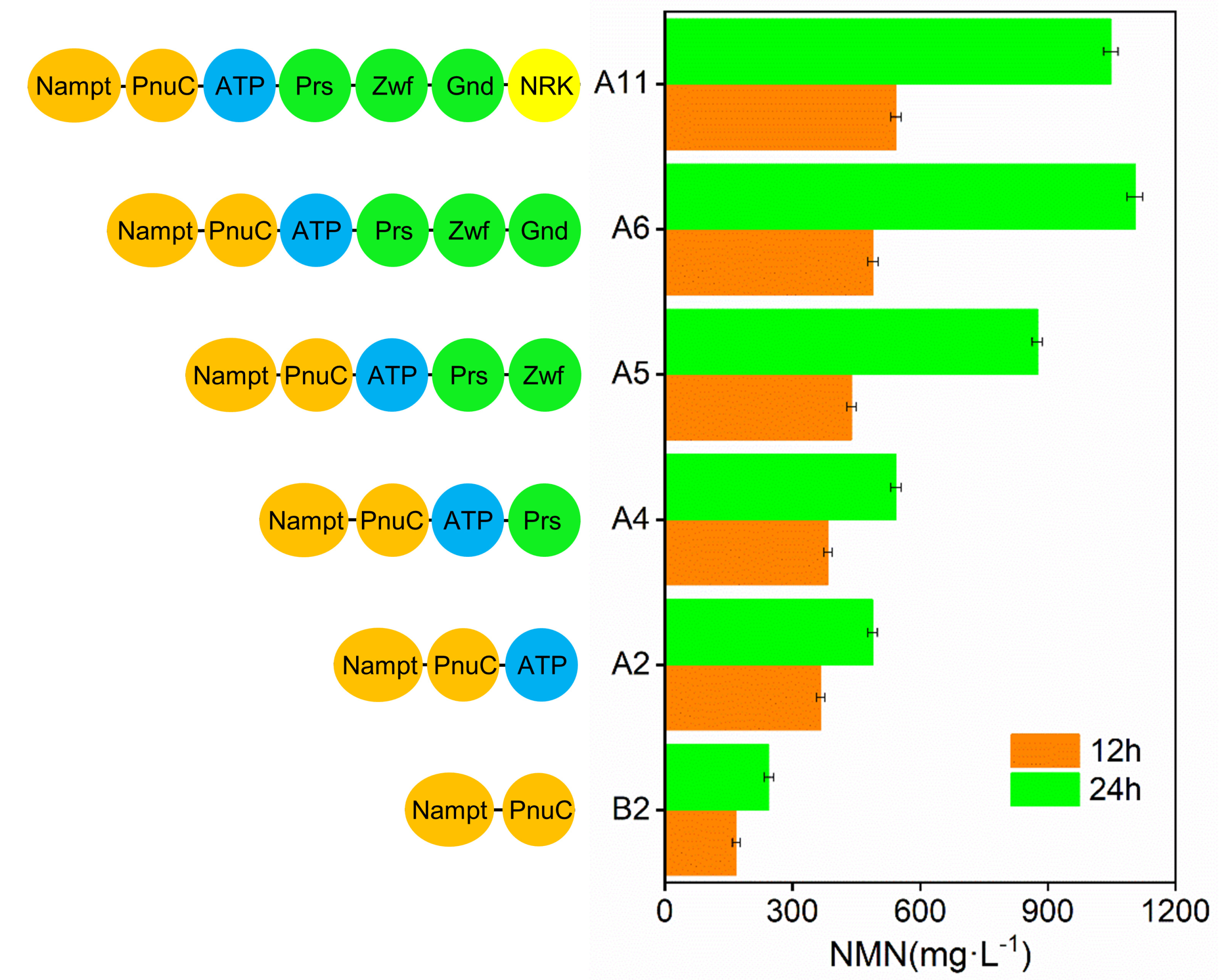 Catalysts 13 00815 g005 Catalysts 13 00815 g005