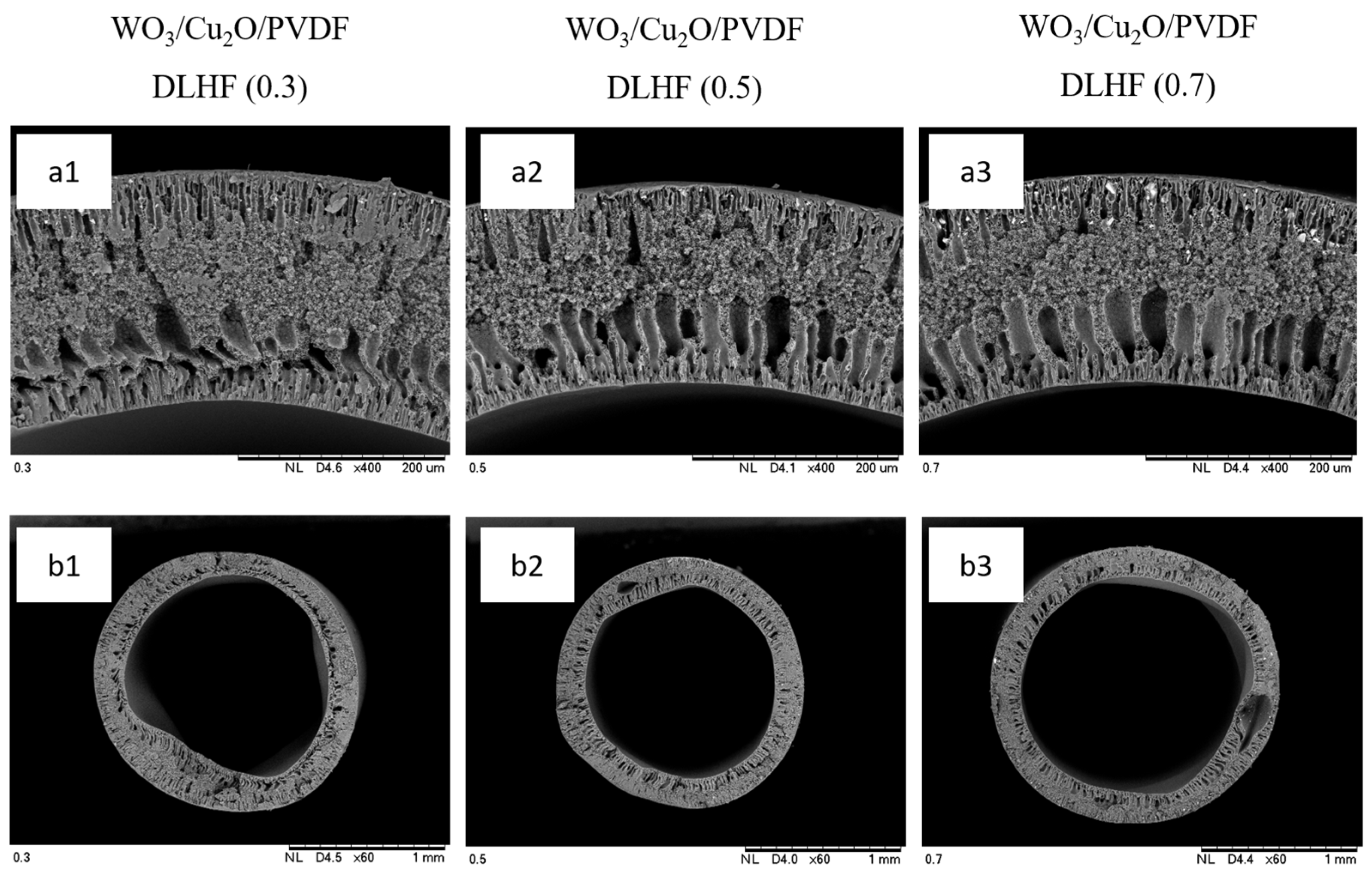 Catalysts 13 00816 g001 Catalysts 13 00816 g001