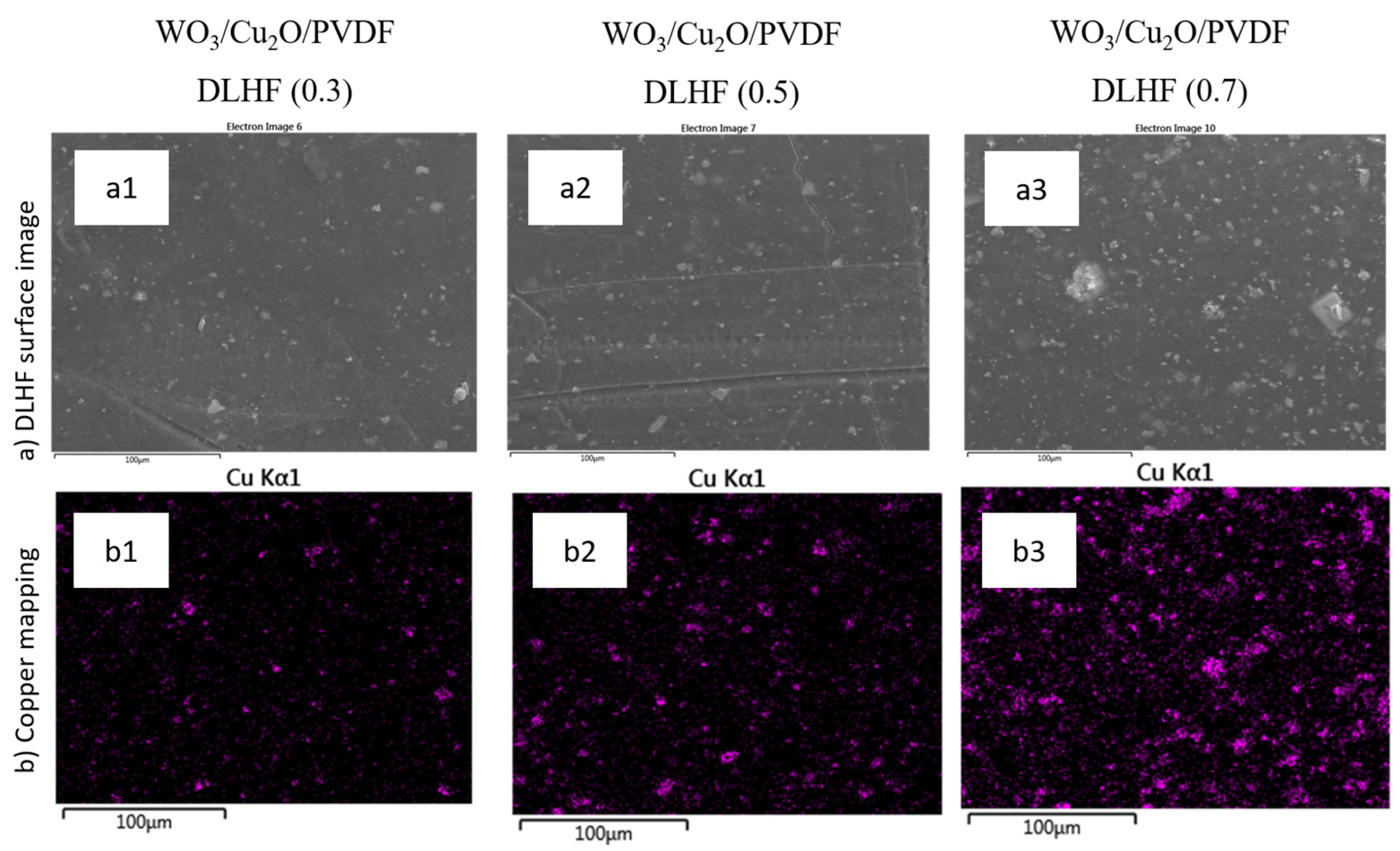 Catalysts 13 00816 g003 Catalysts 13 00816 g003