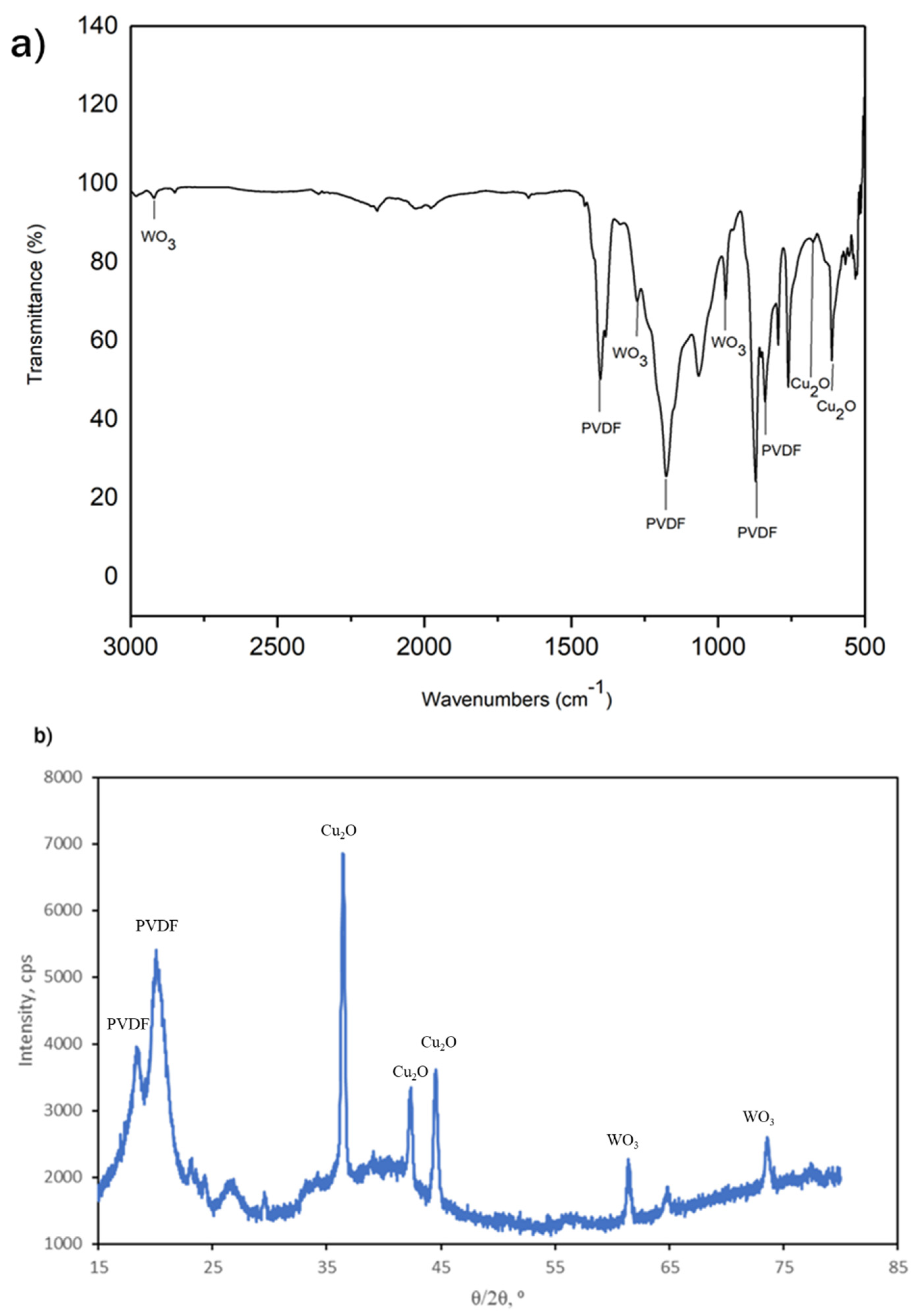 Catalysts 13 00816 g005 Catalysts 13 00816 g005