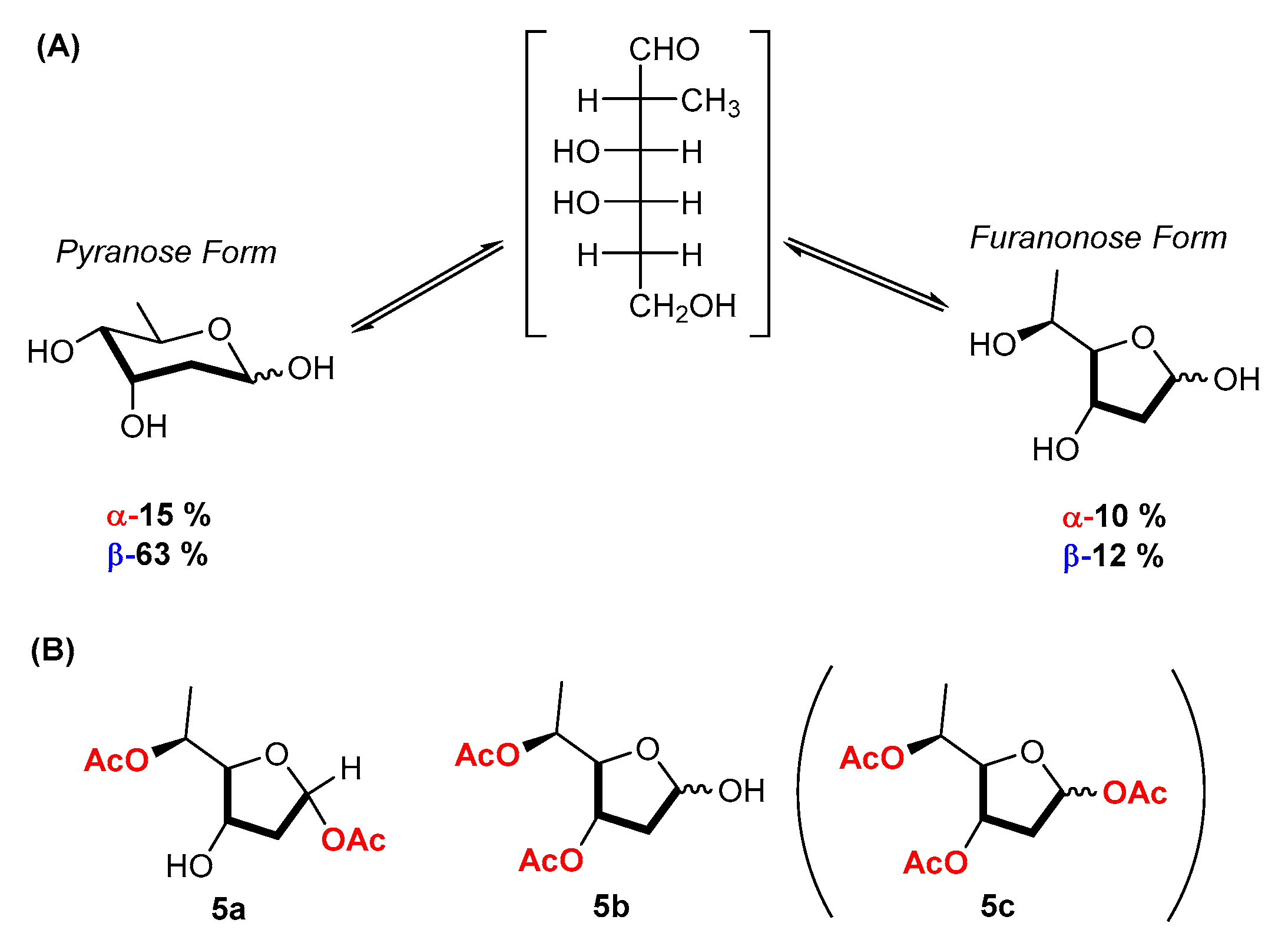 Catalysts 13 00819 g003