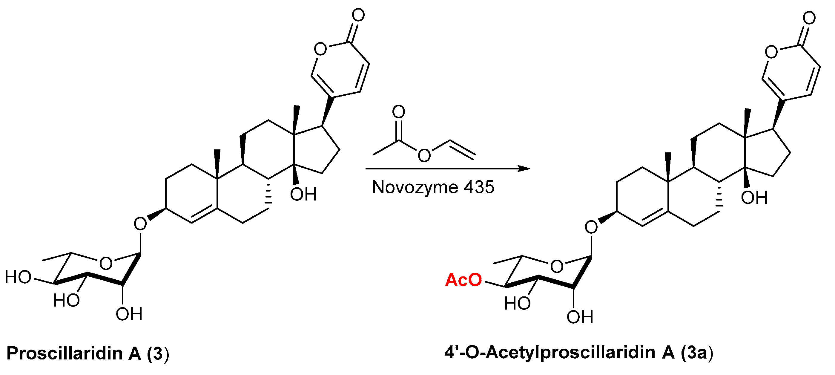 Catalysts 13 00819 sch001