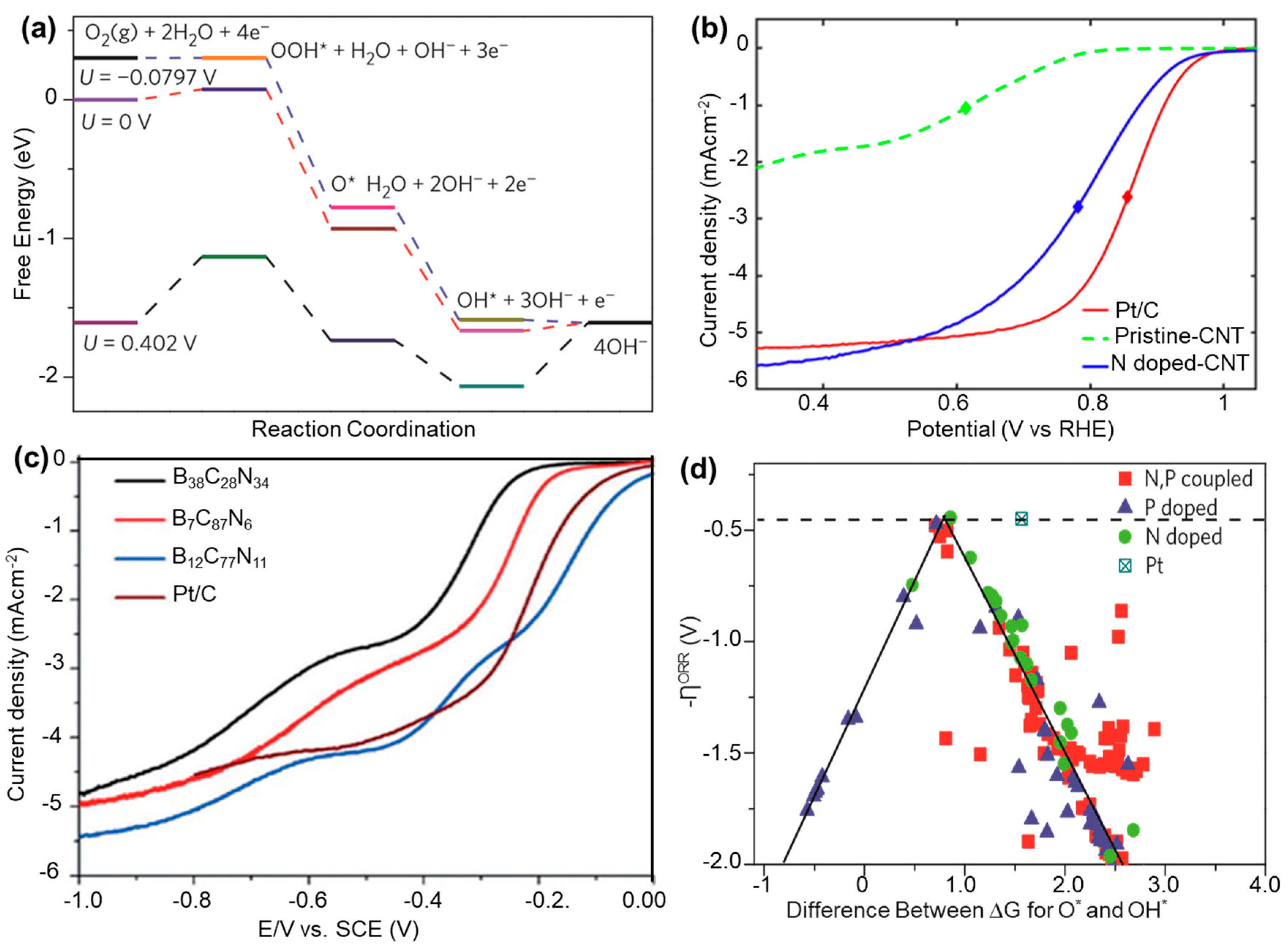 Catalysts 13 00823 g005 Catalysts 13 00823 g005