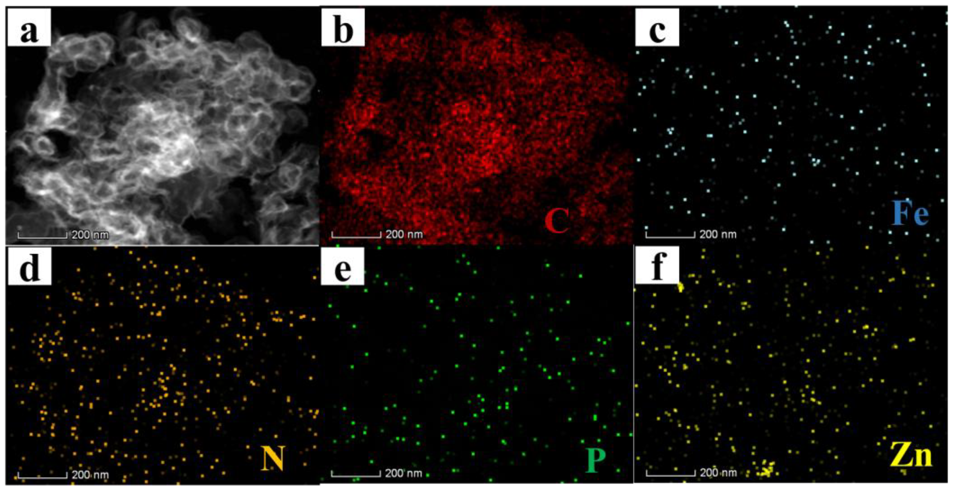 Catalysts 13 00824 g004