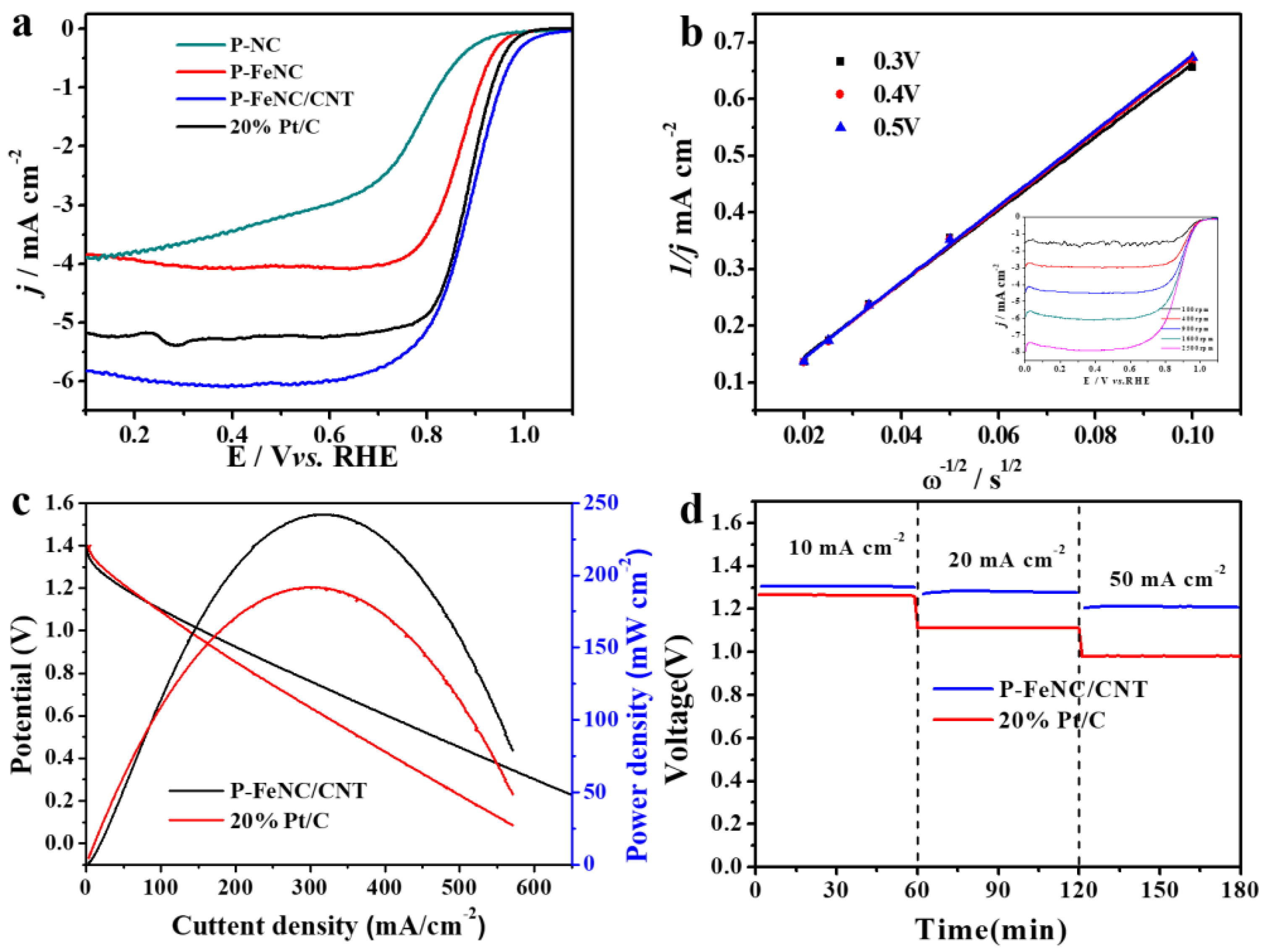 Catalysts 13 00824 g005