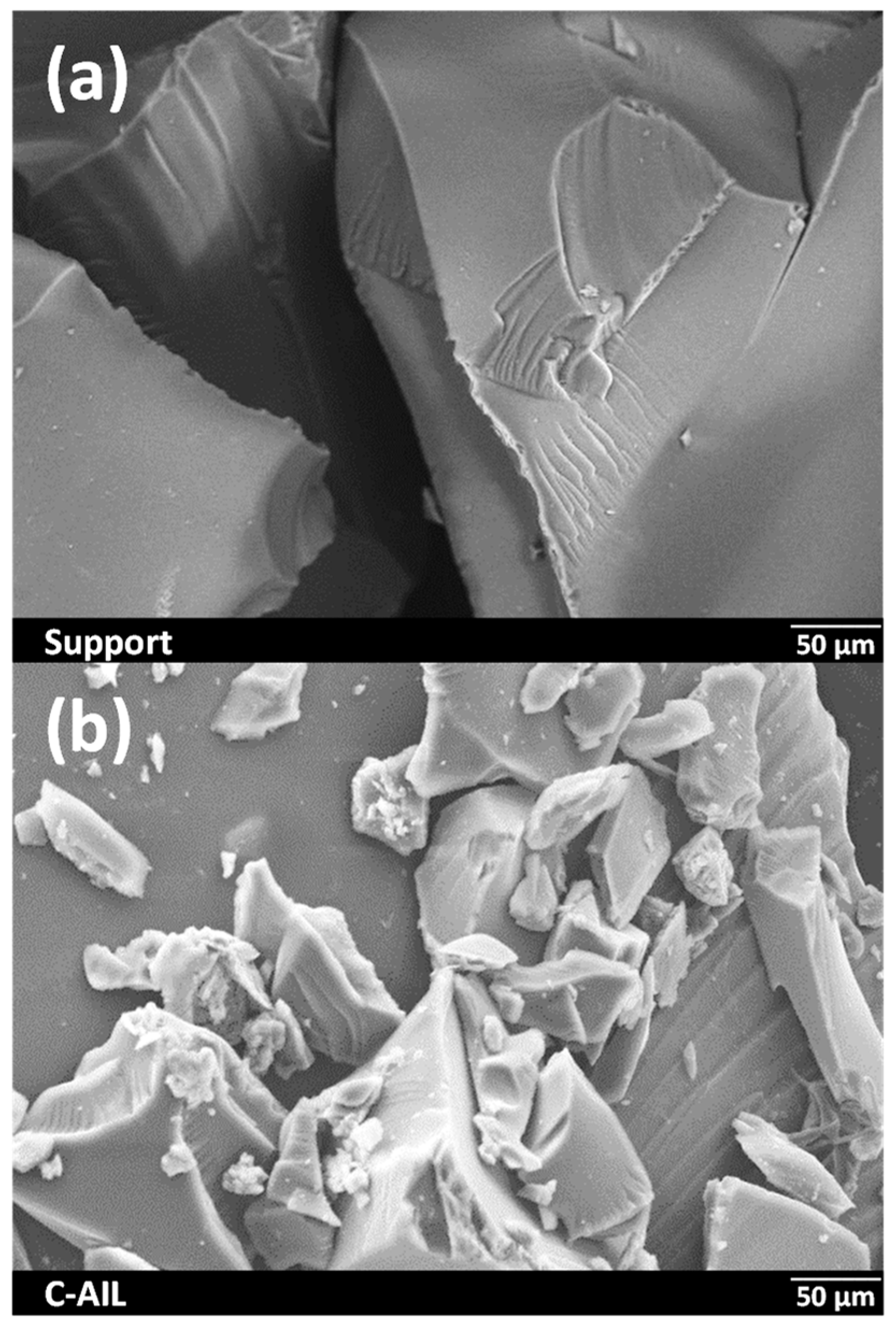 Catalysts 13 00825 g004 Catalysts 13 00825 g004