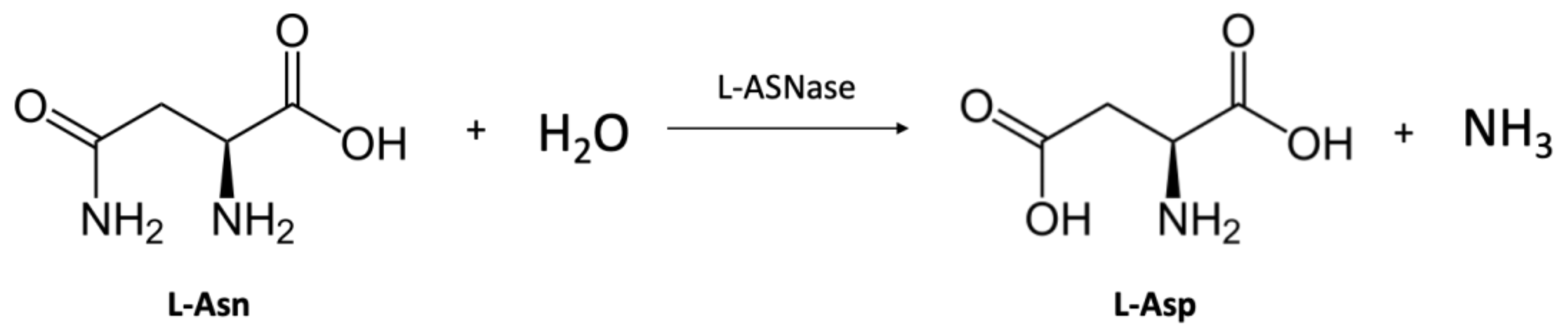 Catalysts 13 00832 g001 Catalysts 13 00832 g001