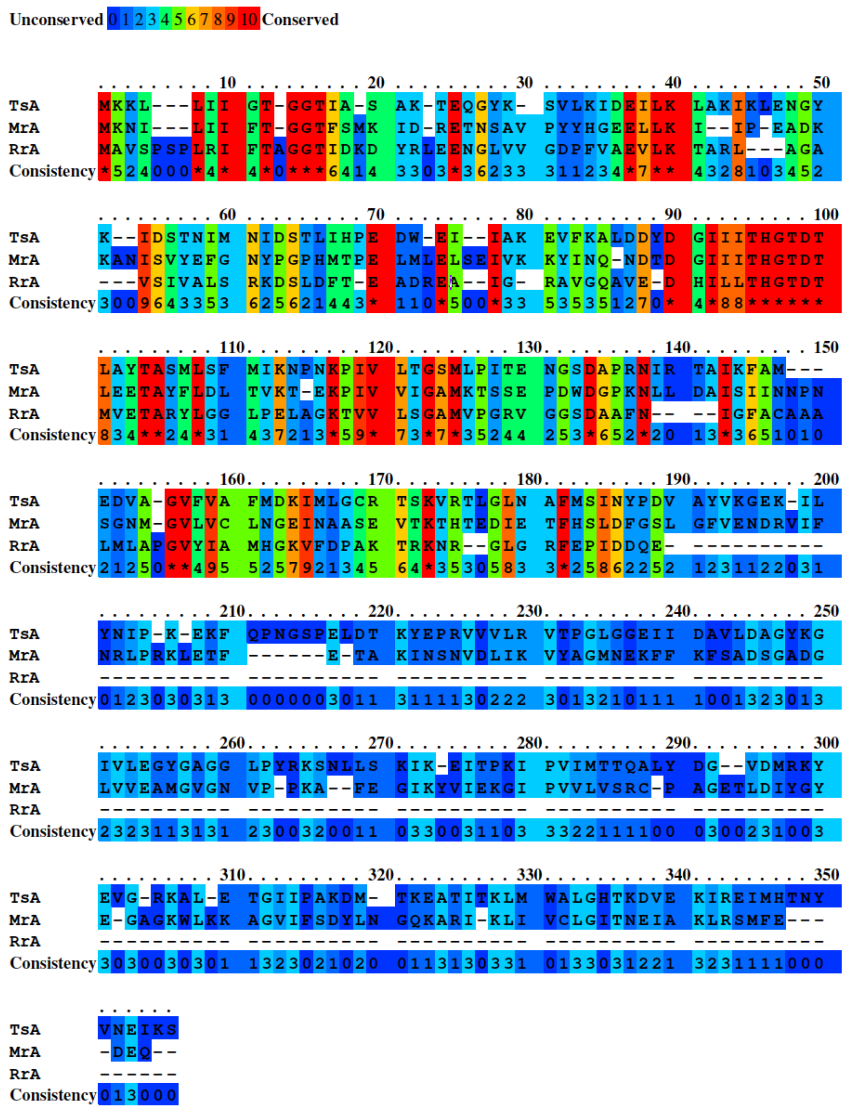 Catalysts 13 00832 g002 Catalysts 13 00832 g002