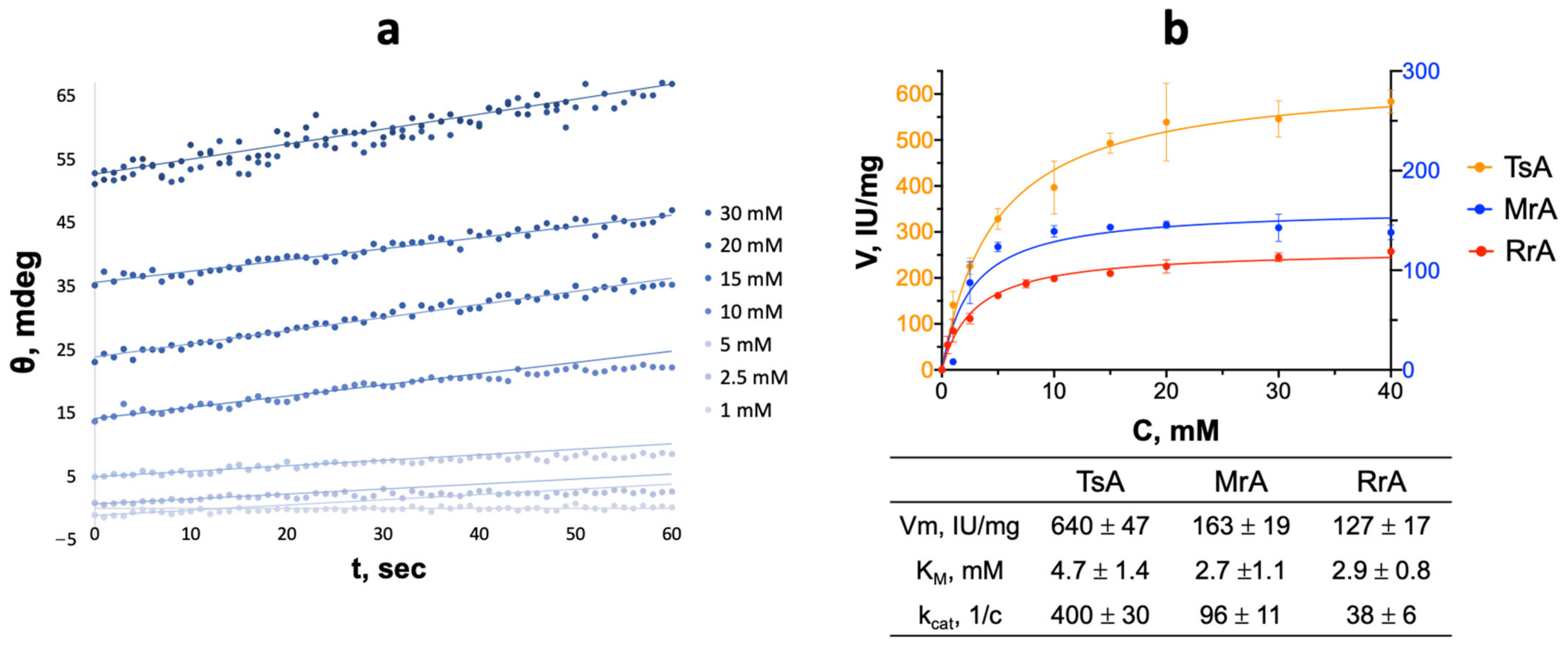Catalysts 13 00832 g004 Catalysts 13 00832 g004