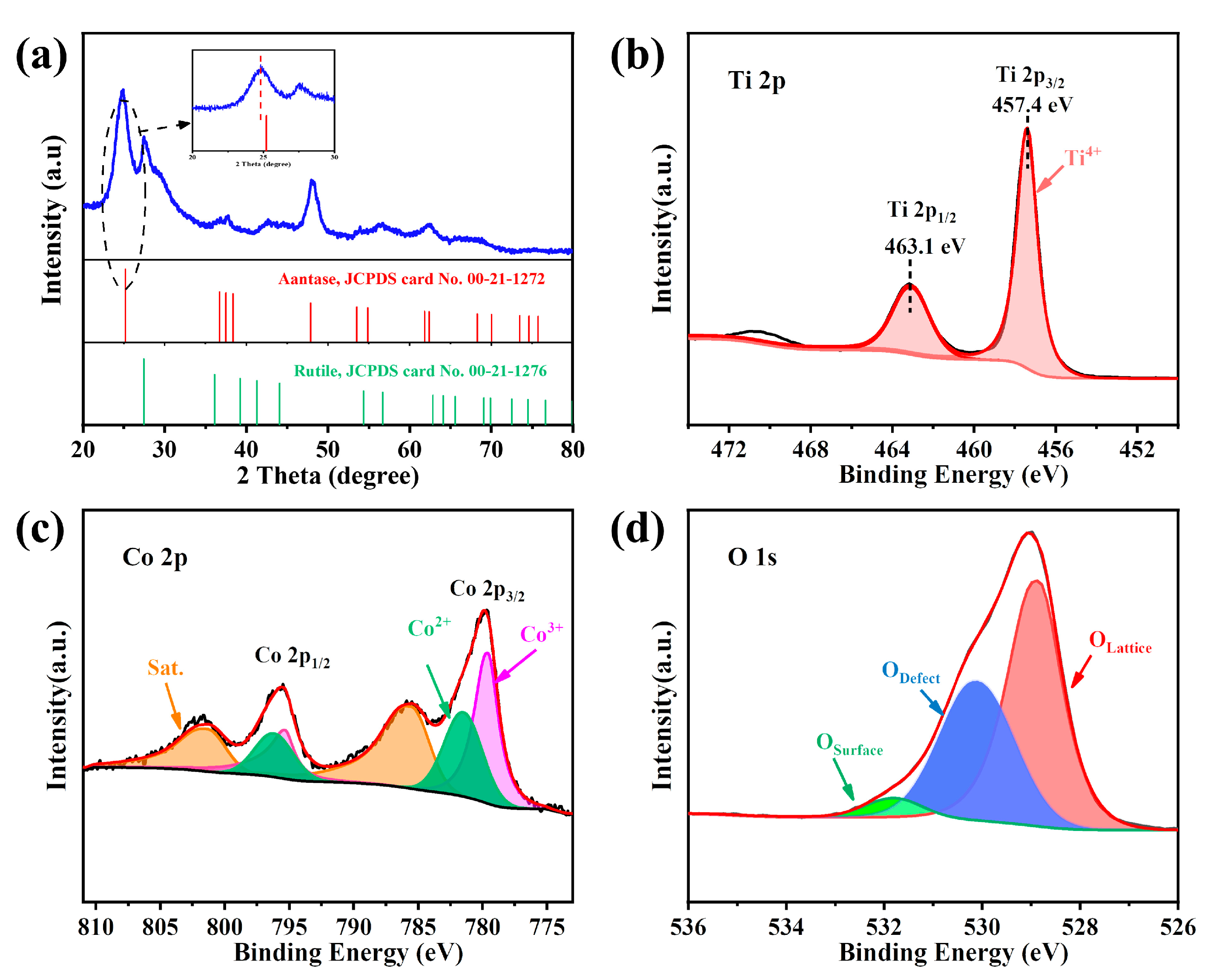 Catalysts 13 00836 g001