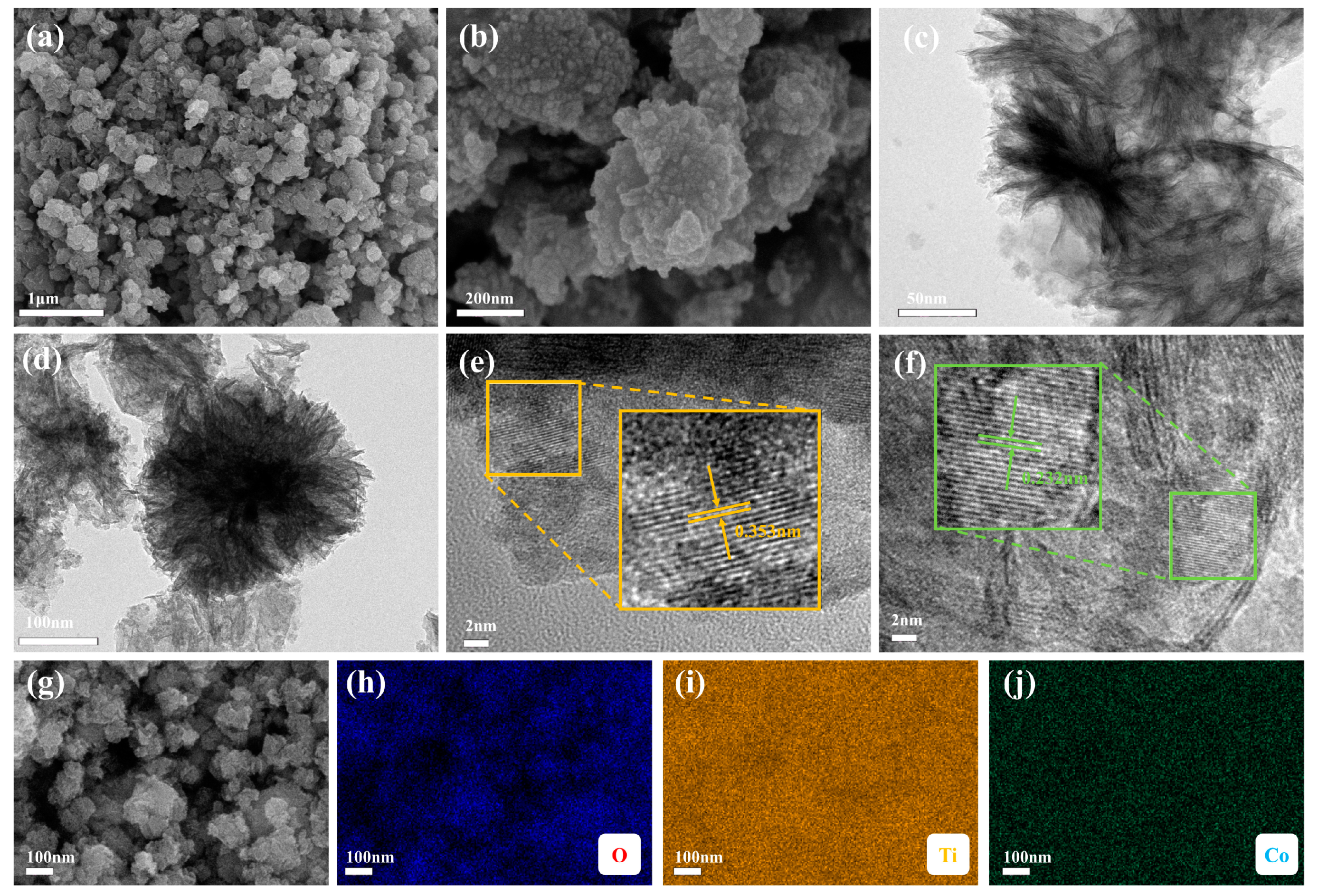 Catalysts 13 00836 g002