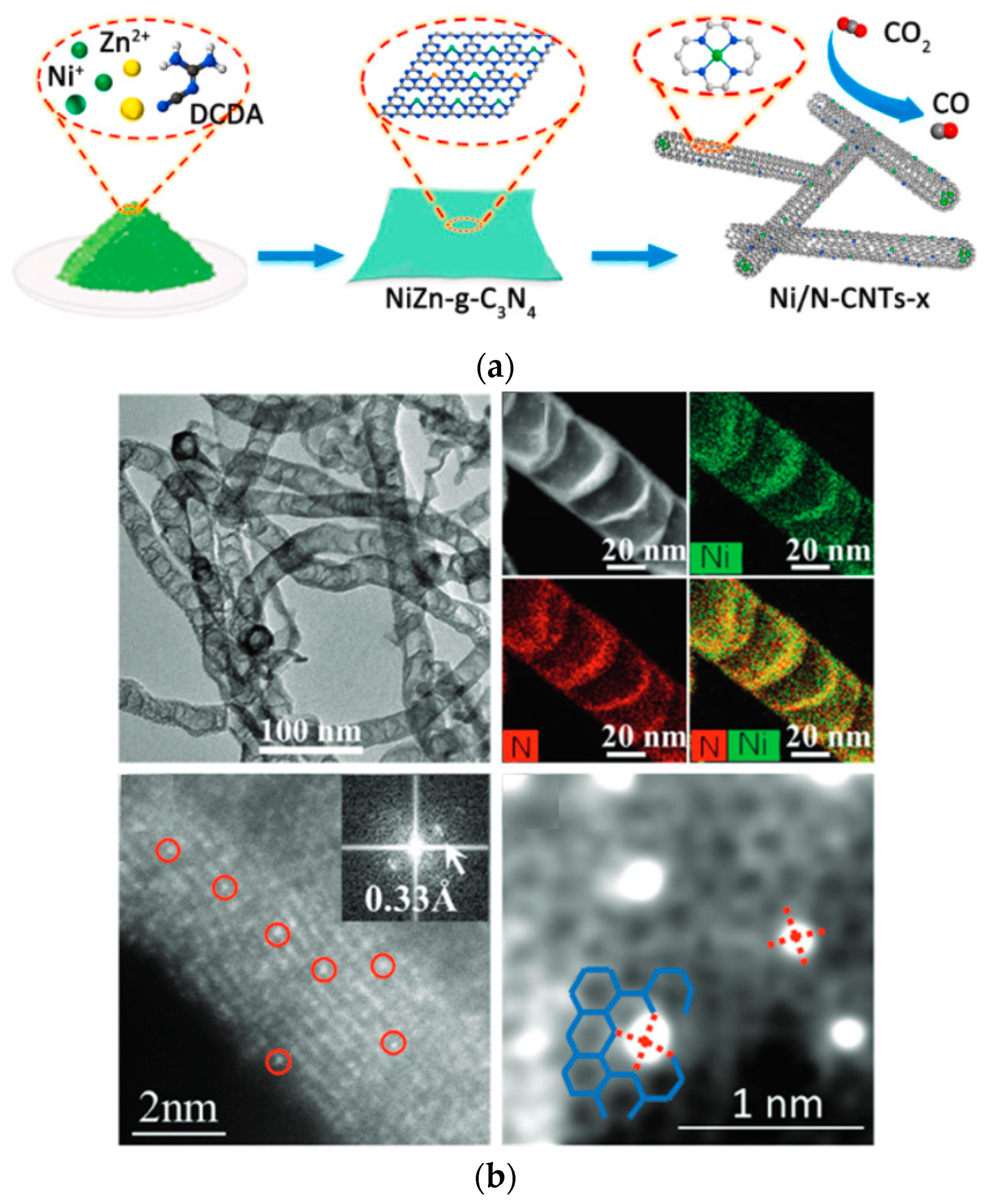 Catalysts 13 00845 g005 Catalysts 13 00845 g005
