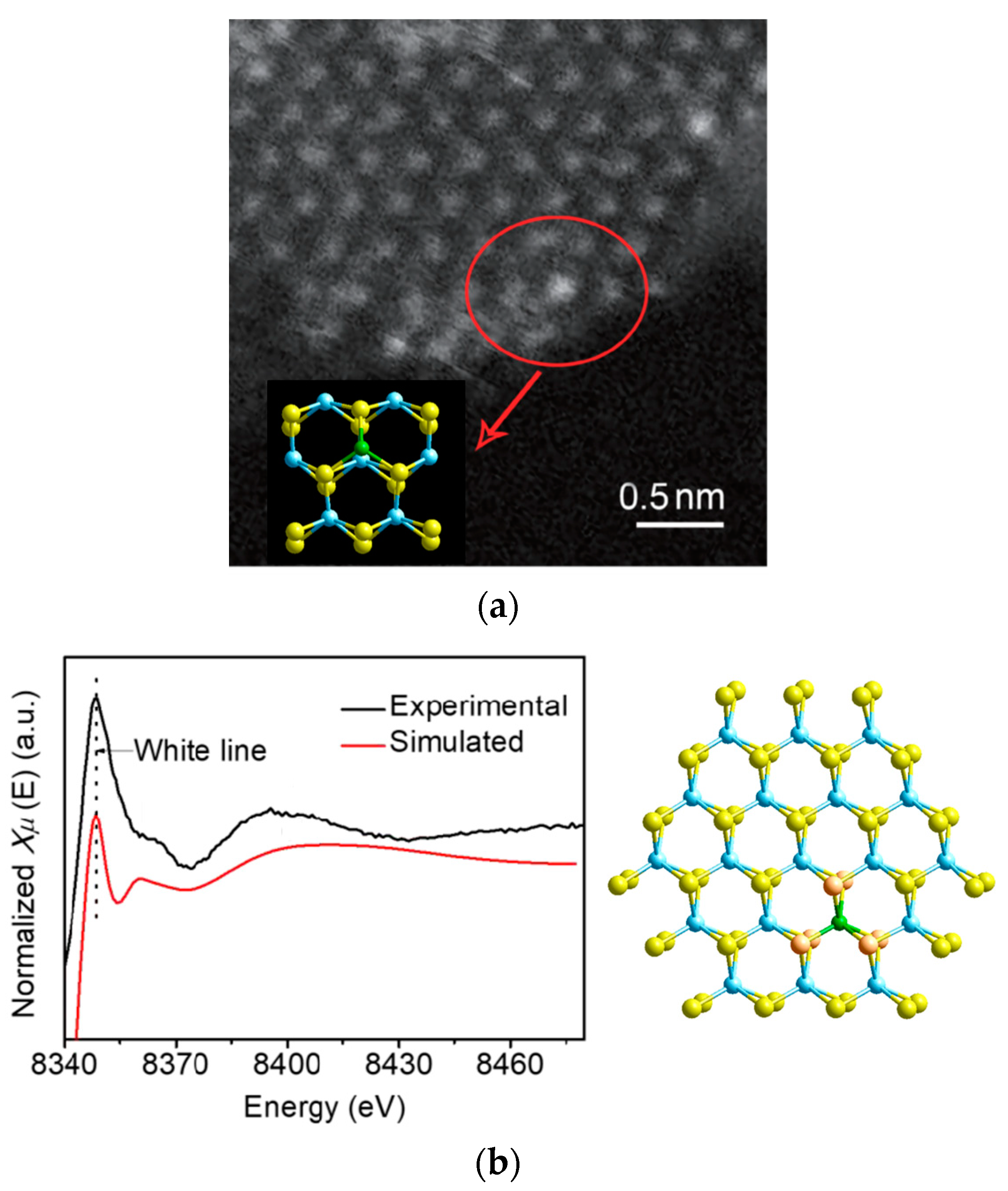 Catalysts 13 00845 g007 Catalysts 13 00845 g007