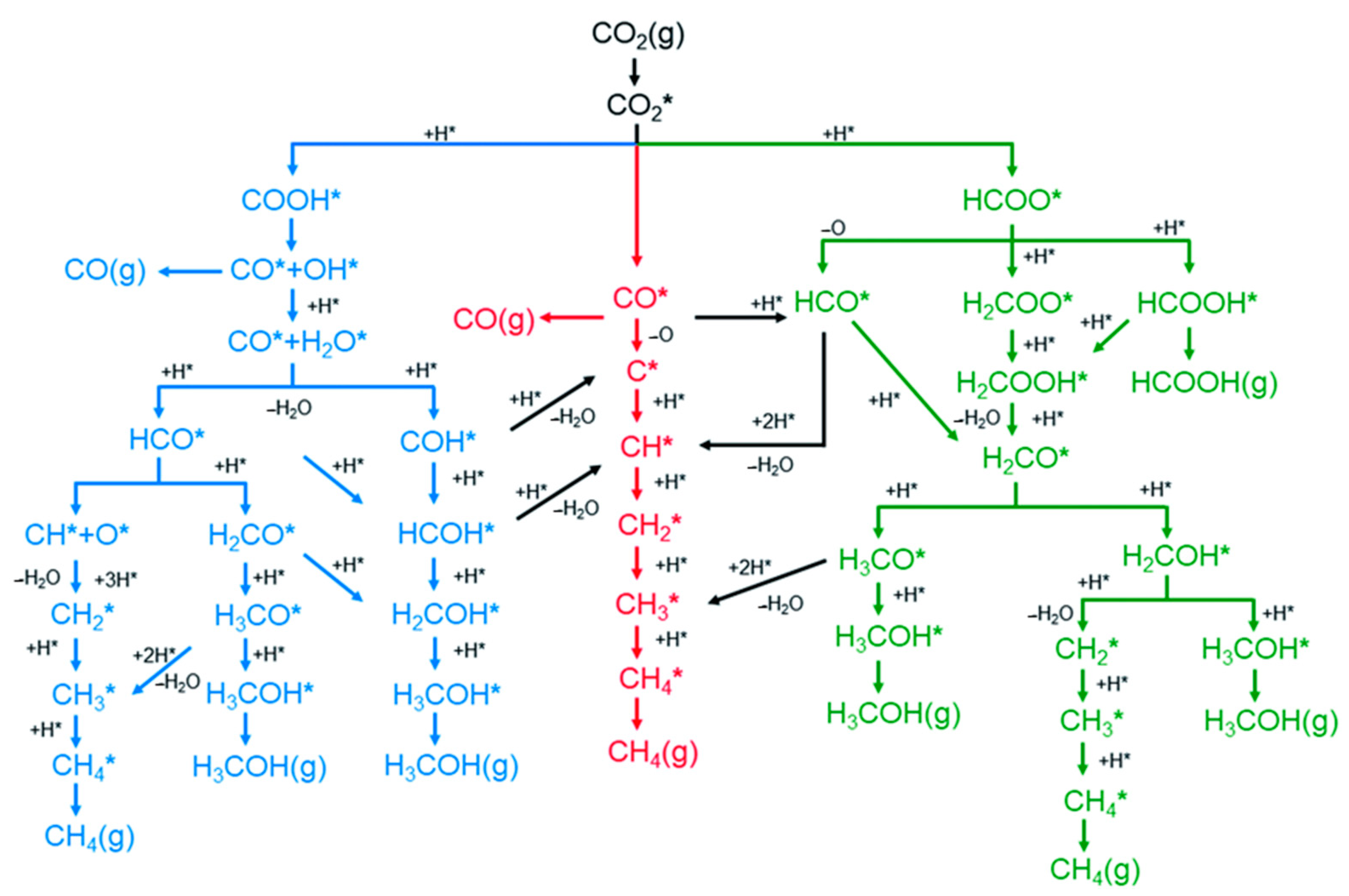 Catalysts 13 00845 g010 Catalysts 13 00845 g010
